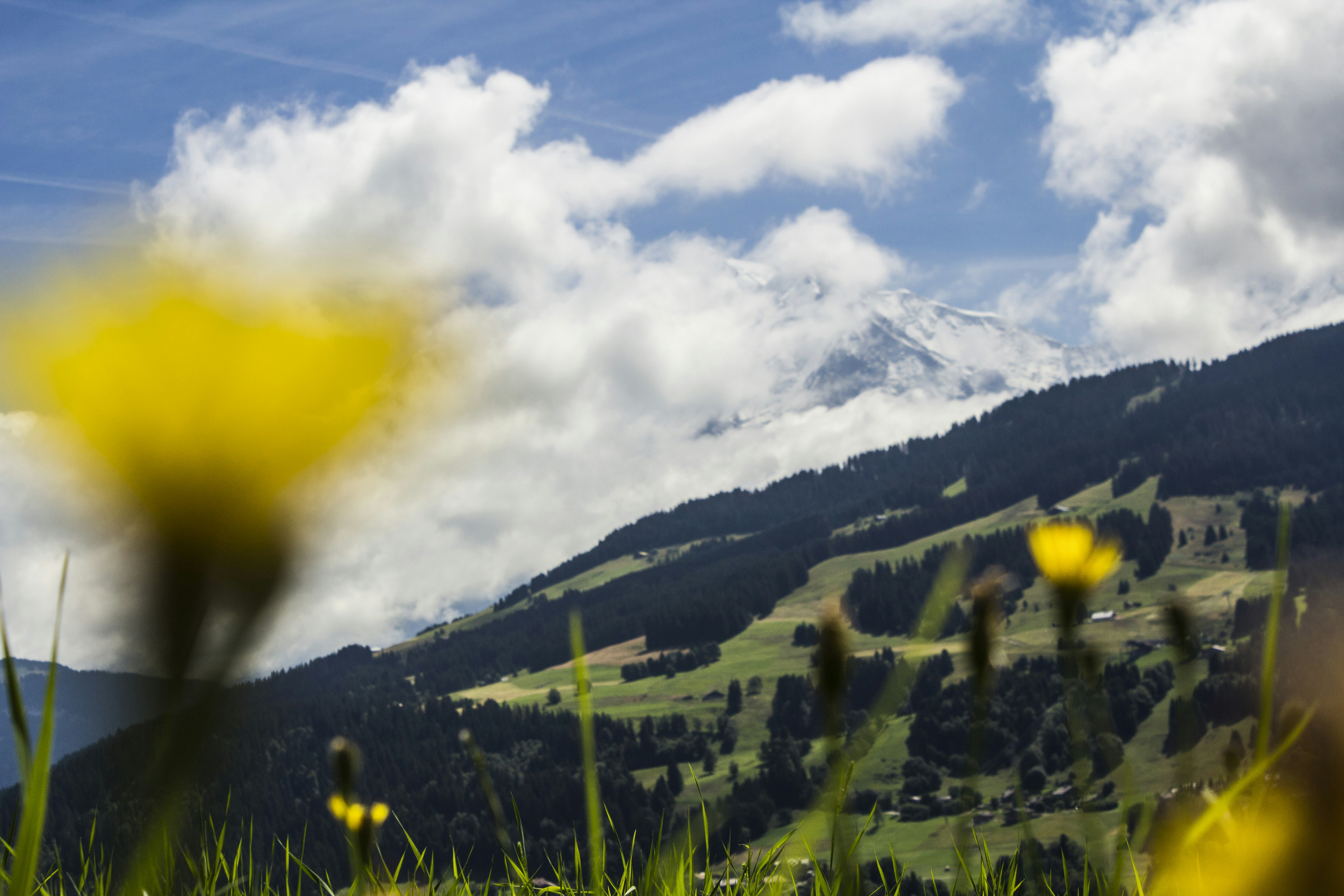 Free Unsplash photo from Heldig Nik