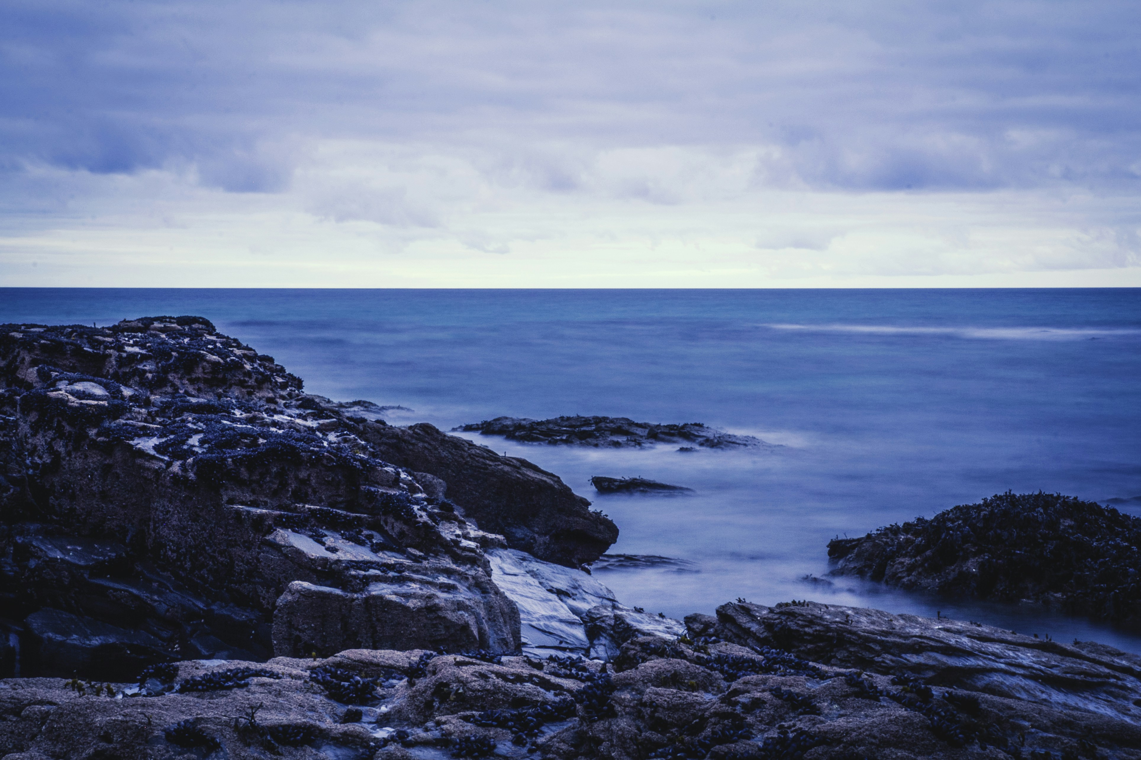 Free Unsplash photo from Caleb Moody