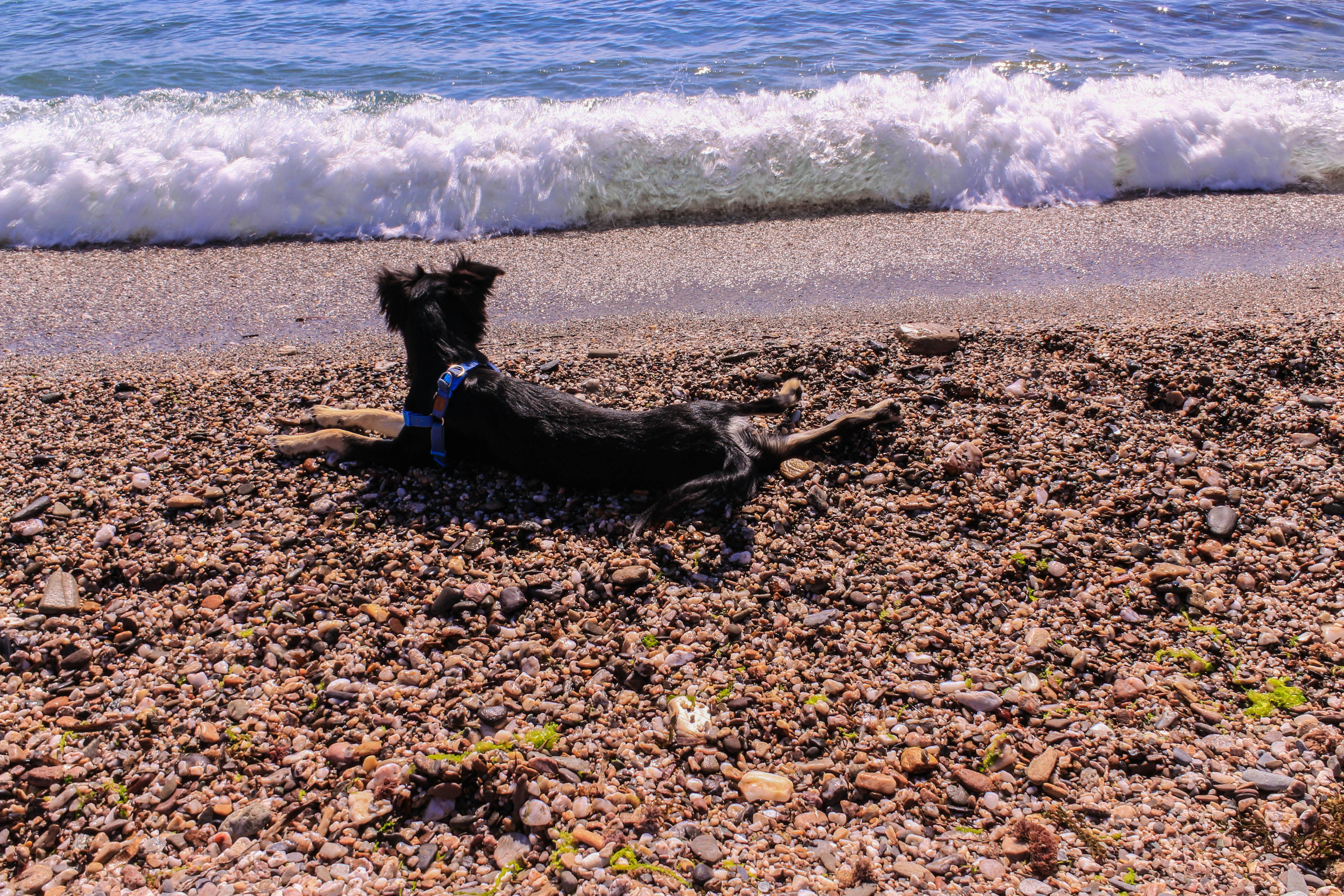 Free Unsplash photo from Antonio J Pacheco Marco