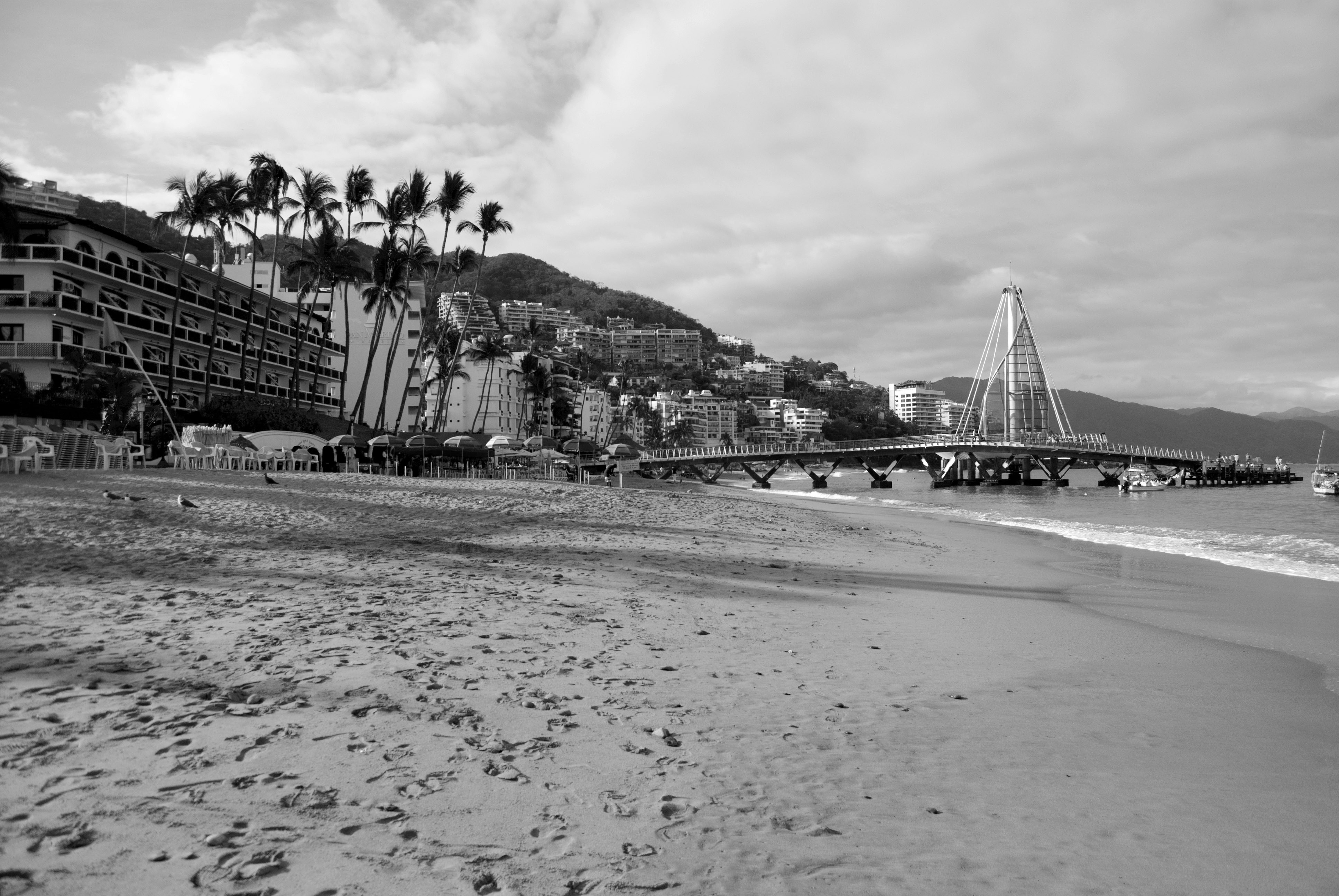 Free Unsplash photo from Maricela Marentes