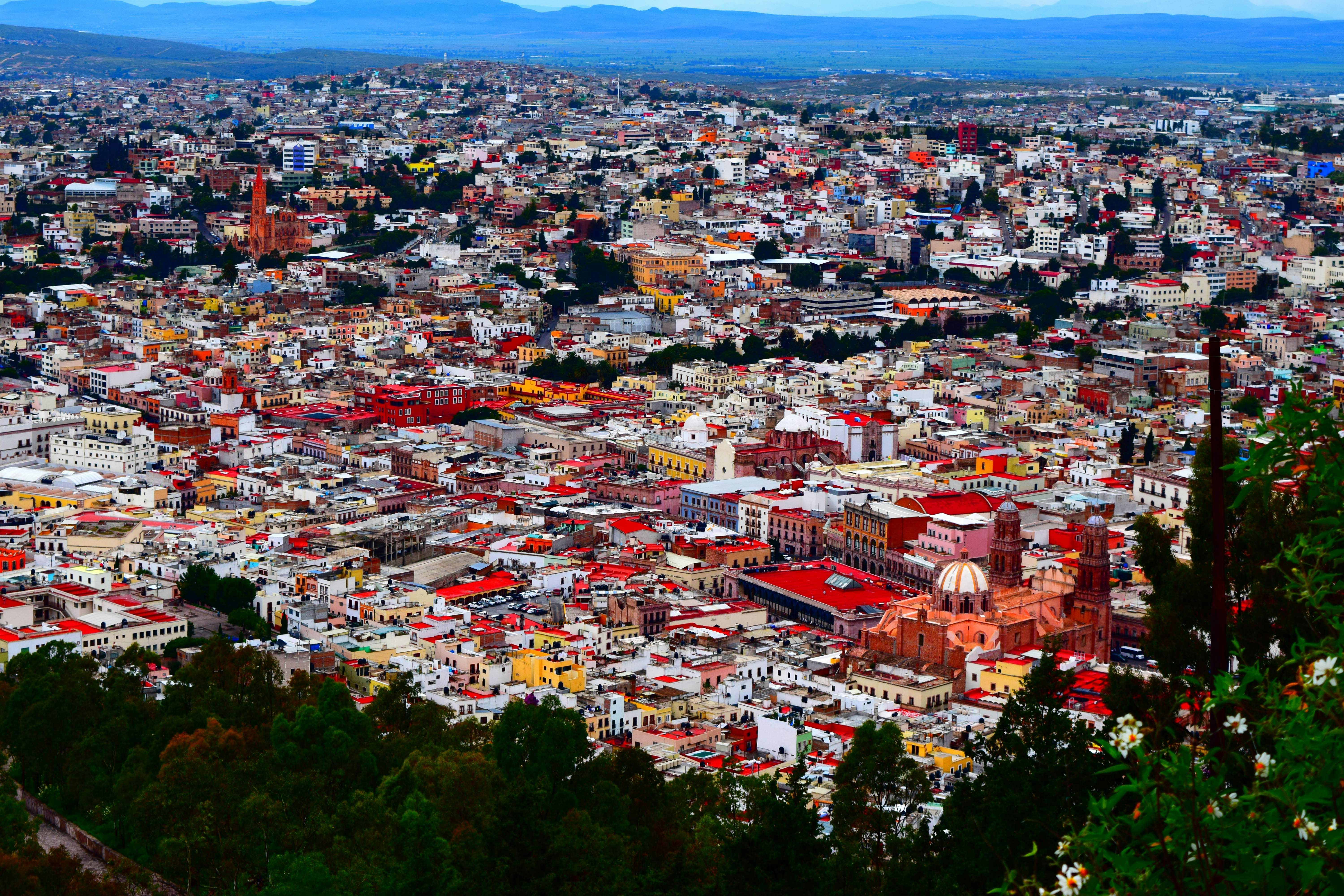 Free Unsplash photo from Maricela Marentes