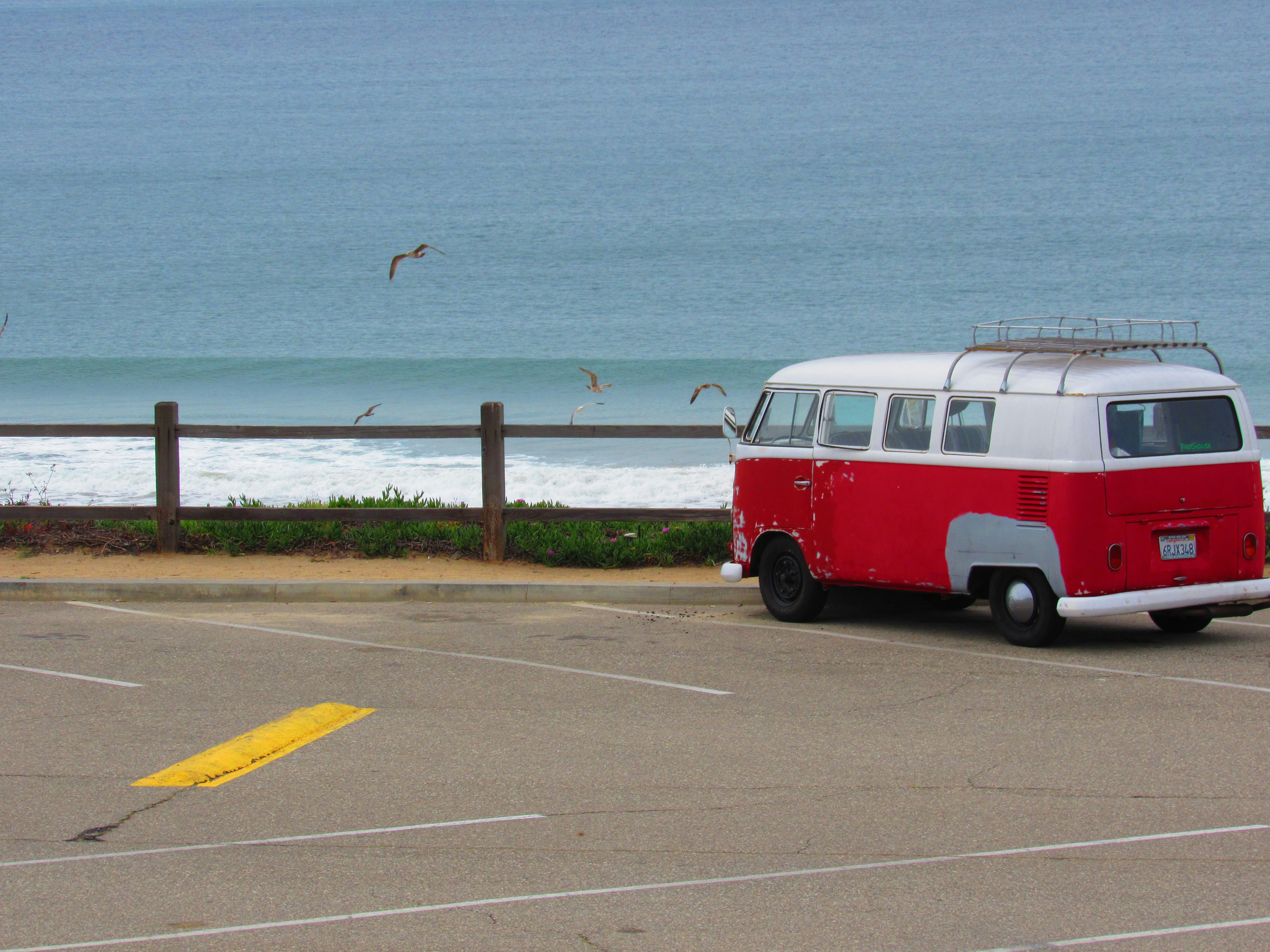 Free Unsplash photo from Fausto Silenzi