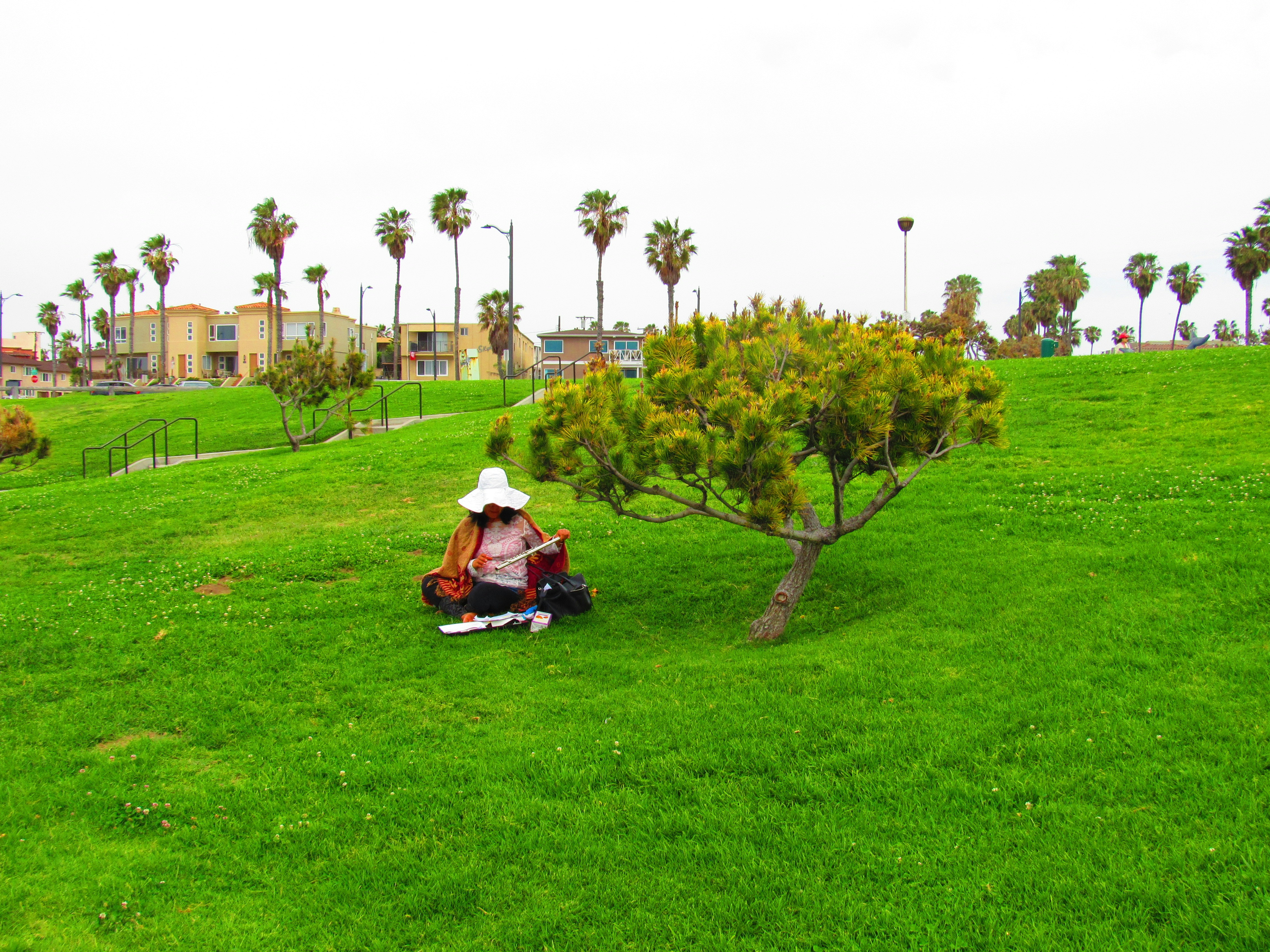 Free Unsplash photo from Fausto Silenzi