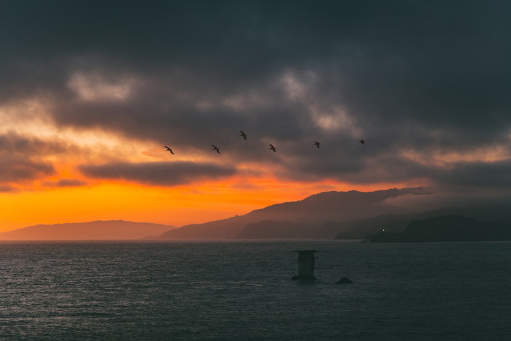 six oiseaux sur le ciel au-dessus du plan d’eau