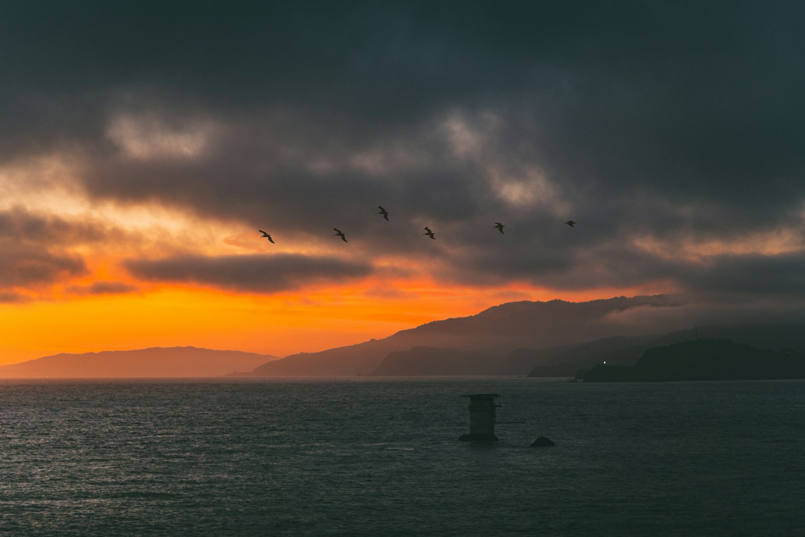 Canon EF 85mm F1.2L II USM sample photo. Six birds on sky photography