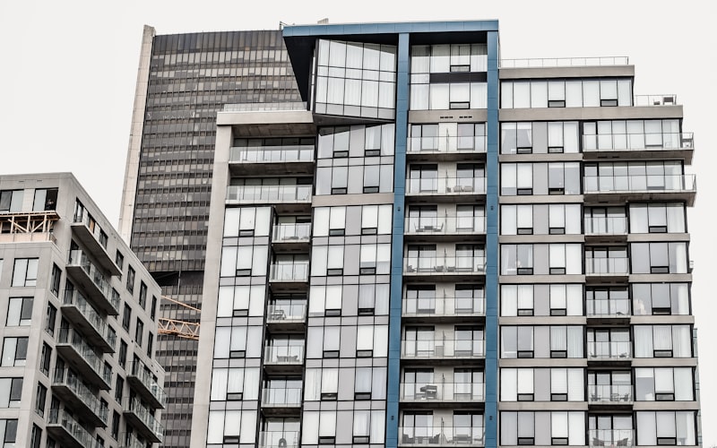 Mold Removal in Public Housing Cuts Asthma ER Visits, Study Finds