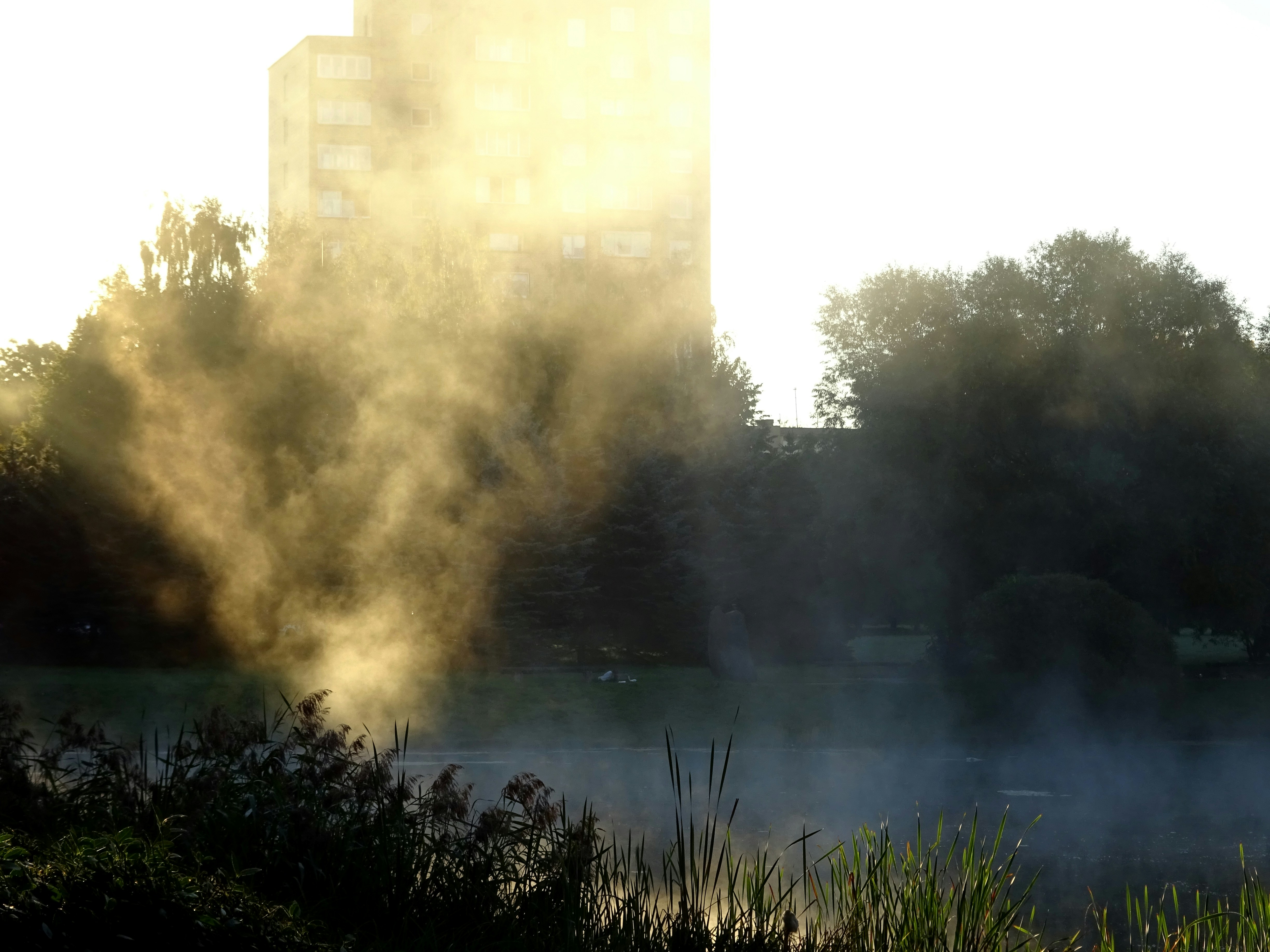 Free Unsplash photo from Erikas Kabak