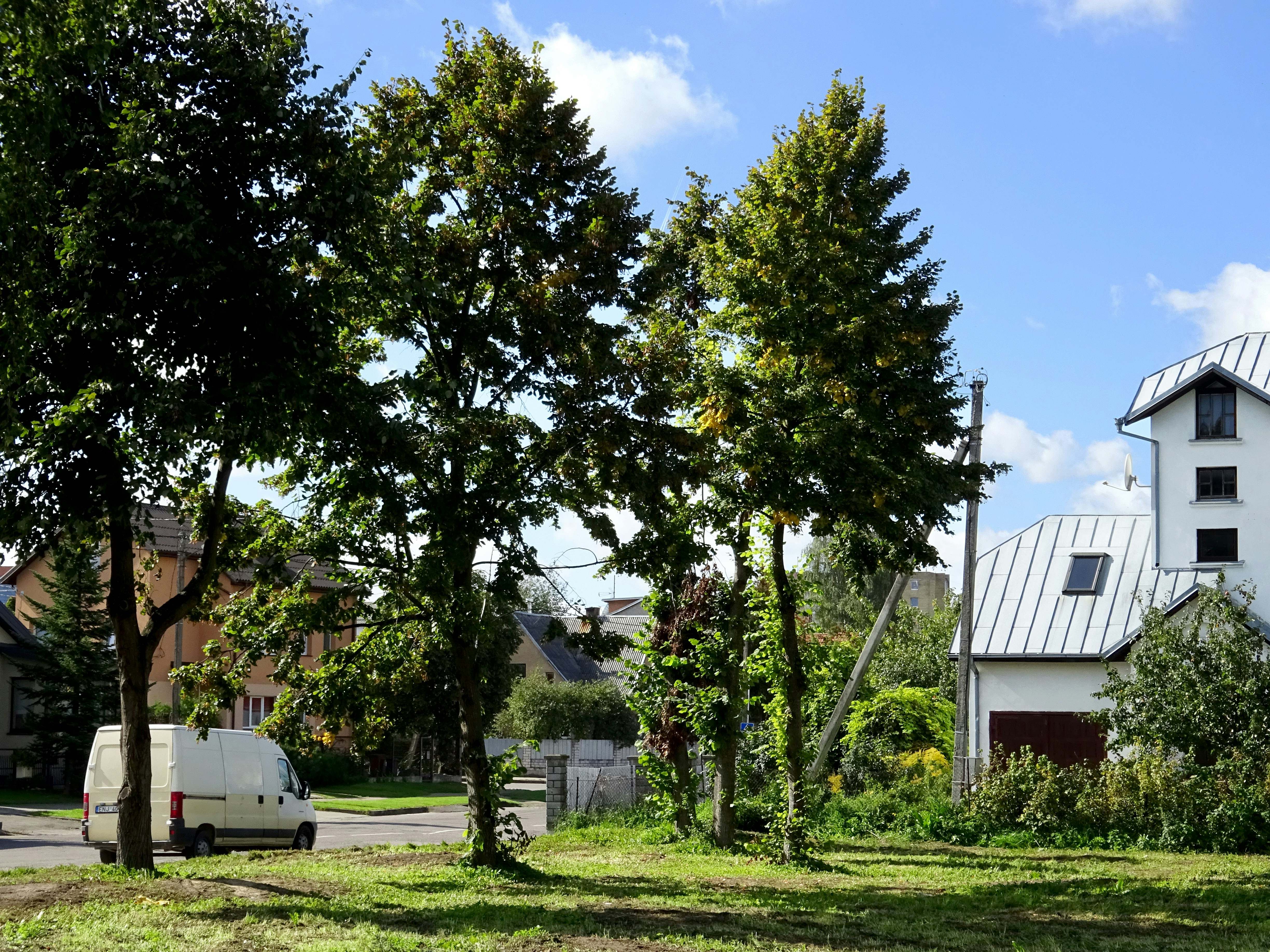 Free Unsplash photo from Erikas Kabak