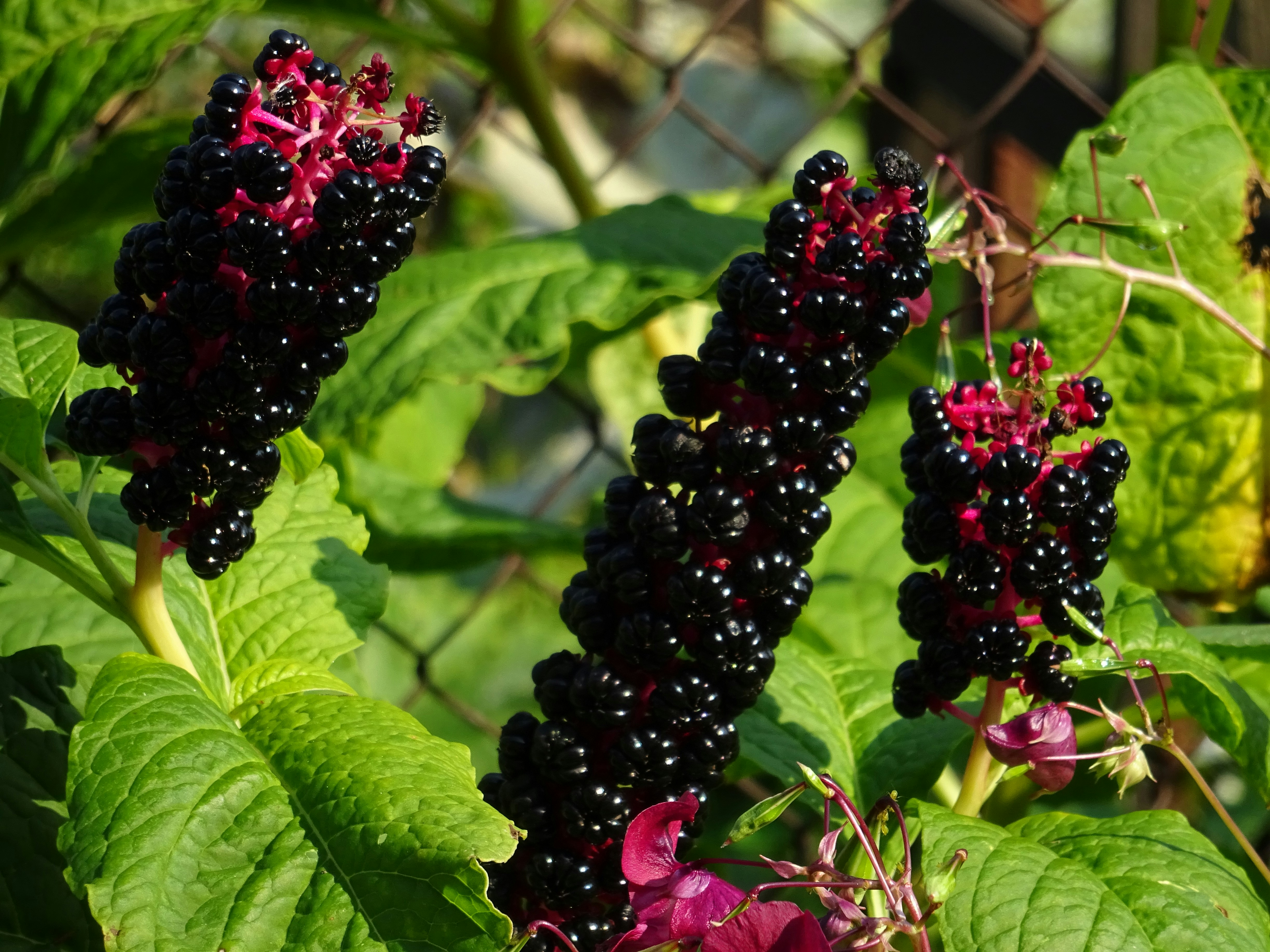 Free Unsplash photo from Erikas Kabak