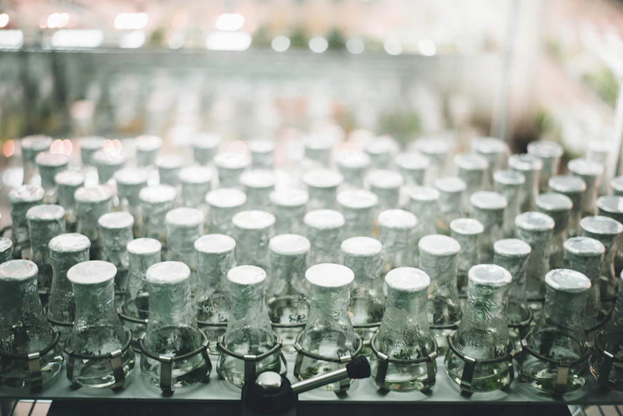 DM-AF 240 Vial Filling & Stoppering Line