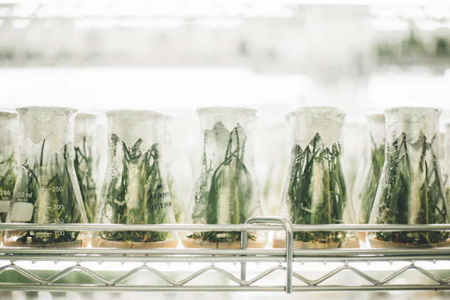 A scientist in a lab coat examining plant samples with advanced equipment in a bright agricultural research facility.