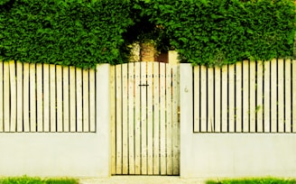 A wooden gate and fence are covered with lush green foliage, creating a natural and serene barrier. The vertical slats of the fence are painted in a light color, contrasting with the dense greenery above.