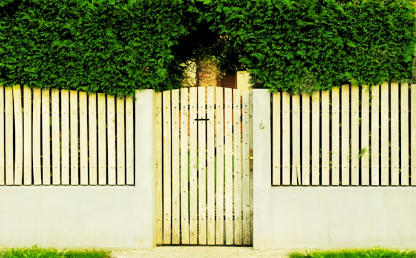 A wooden gate and fence are covered with lush green foliage, creating a natural and serene barrier. The vertical slats of the fence are painted in a light color, contrasting with the dense greenery above.