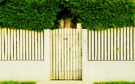 A wooden gate and fence are covered with lush green foliage, creating a natural and serene barrier. The vertical slats of the fence are painted in a light color, contrasting with the dense greenery above.