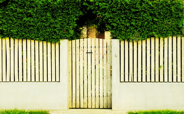 A wooden gate and fence are covered with lush green foliage, creating a natural and serene barrier. The vertical slats of the fence are painted in a light color, contrasting with the dense greenery above.