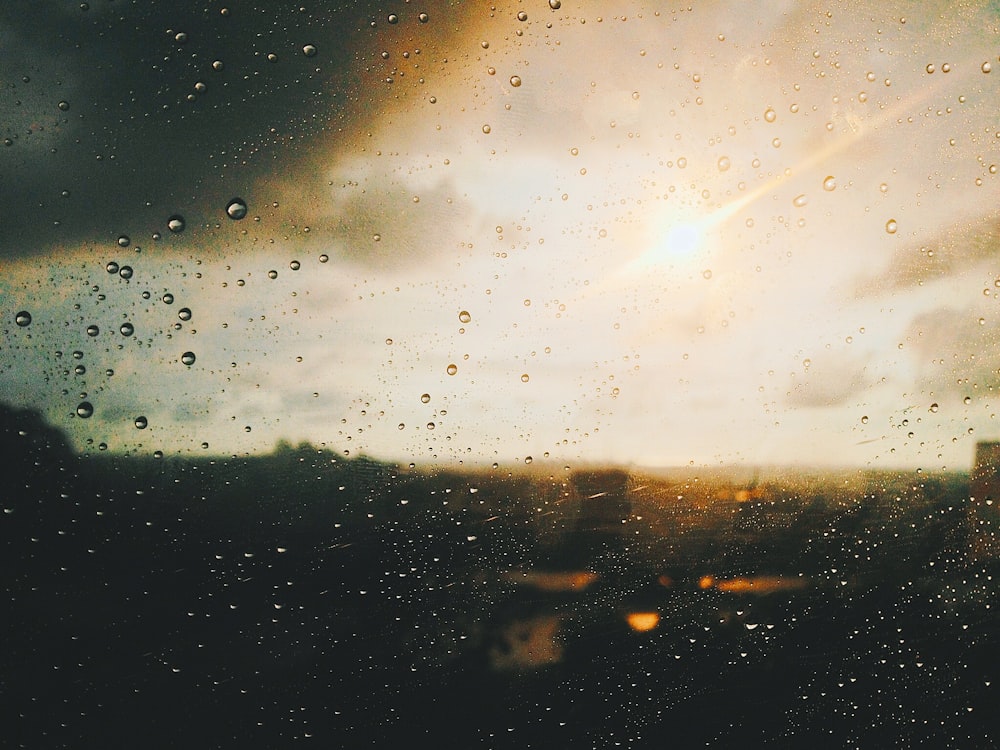 dew drops on glass