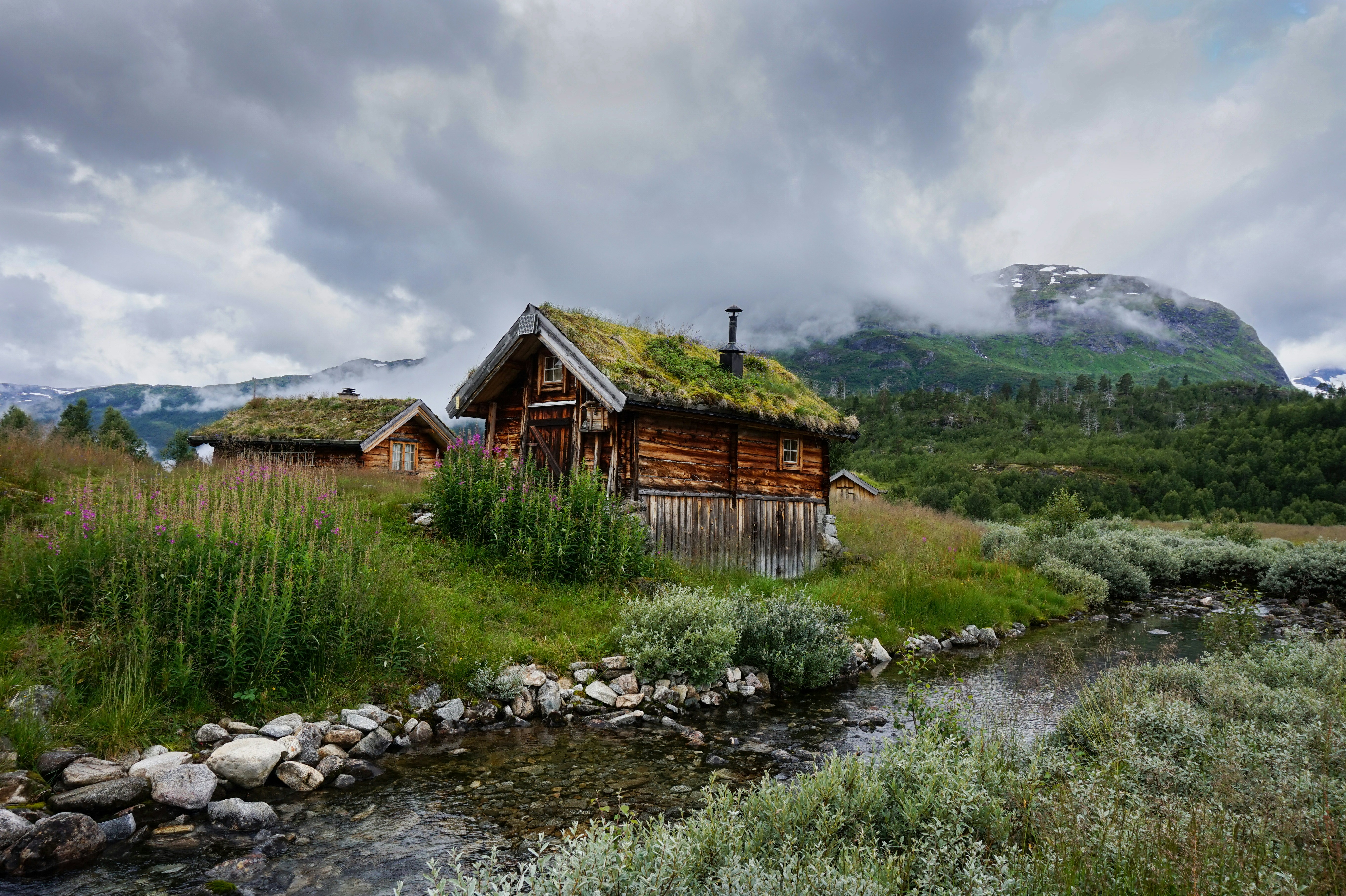 Free Unsplash photo from Petruk Vadym