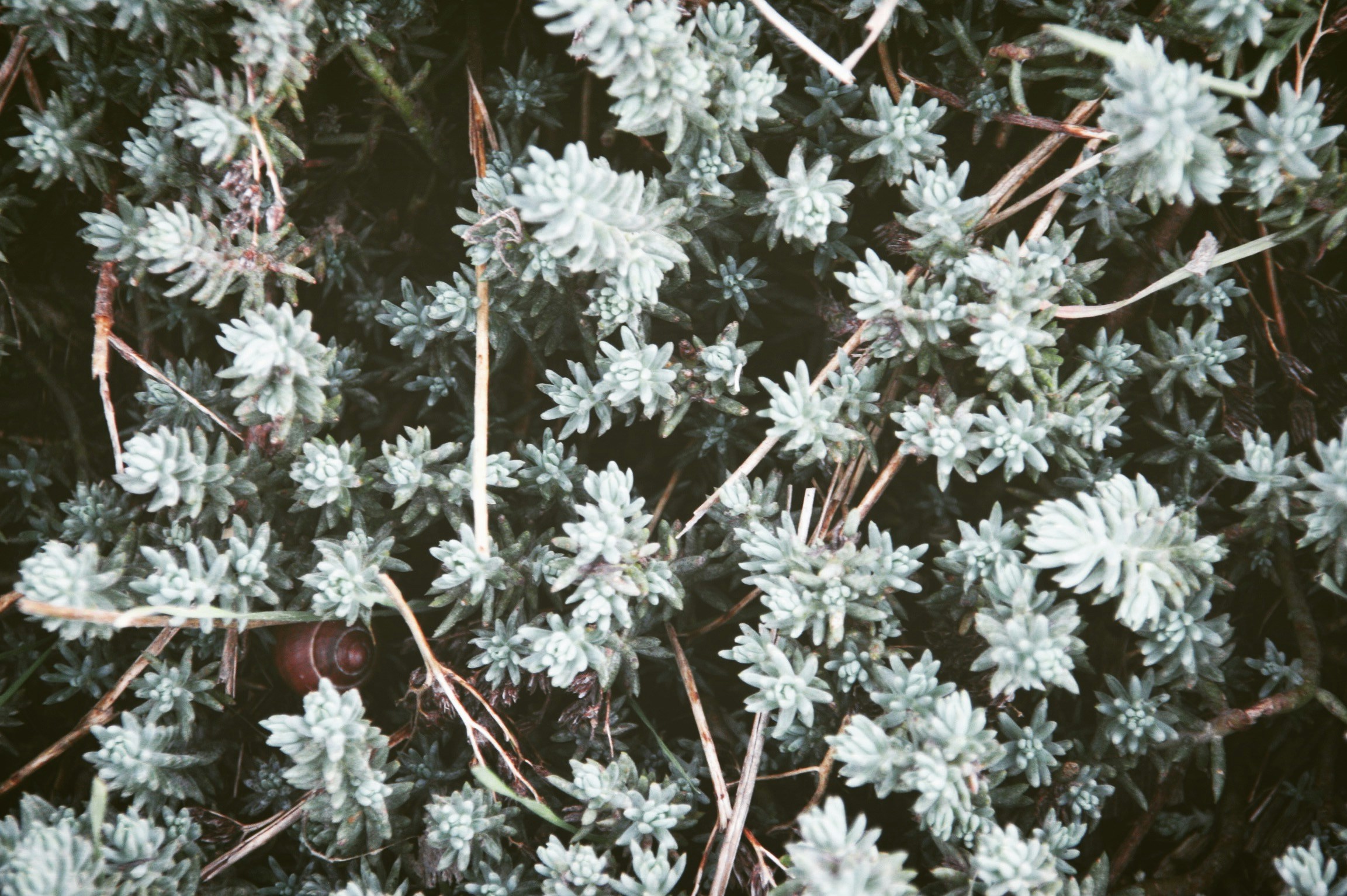 Free Unsplash photo from Ulrike Hütter