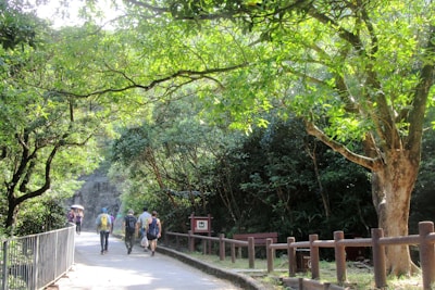 Outdoor activity of santri walking along a shaded path surrounded by lush greenery