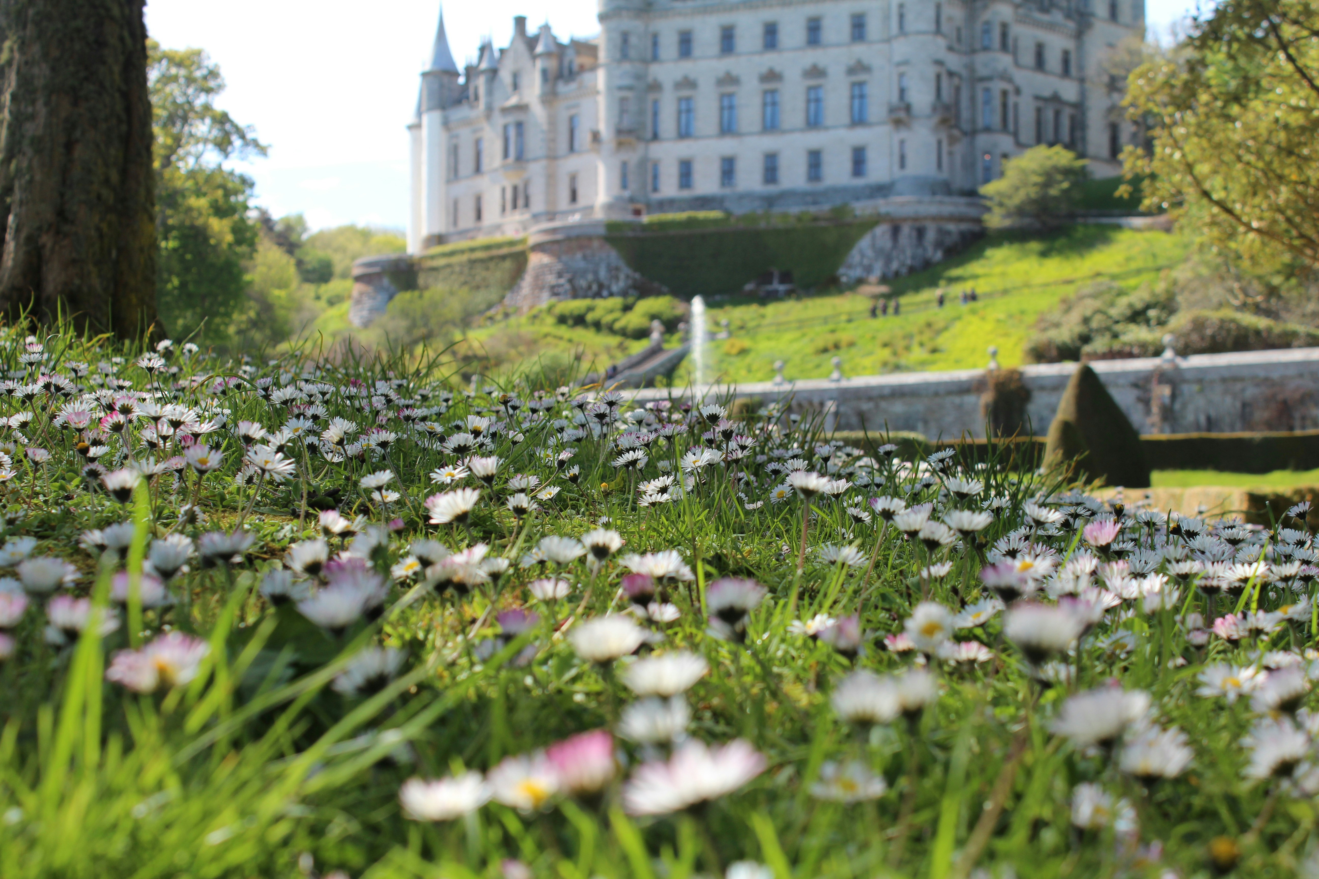 Free Unsplash photo from Saskia Schneider