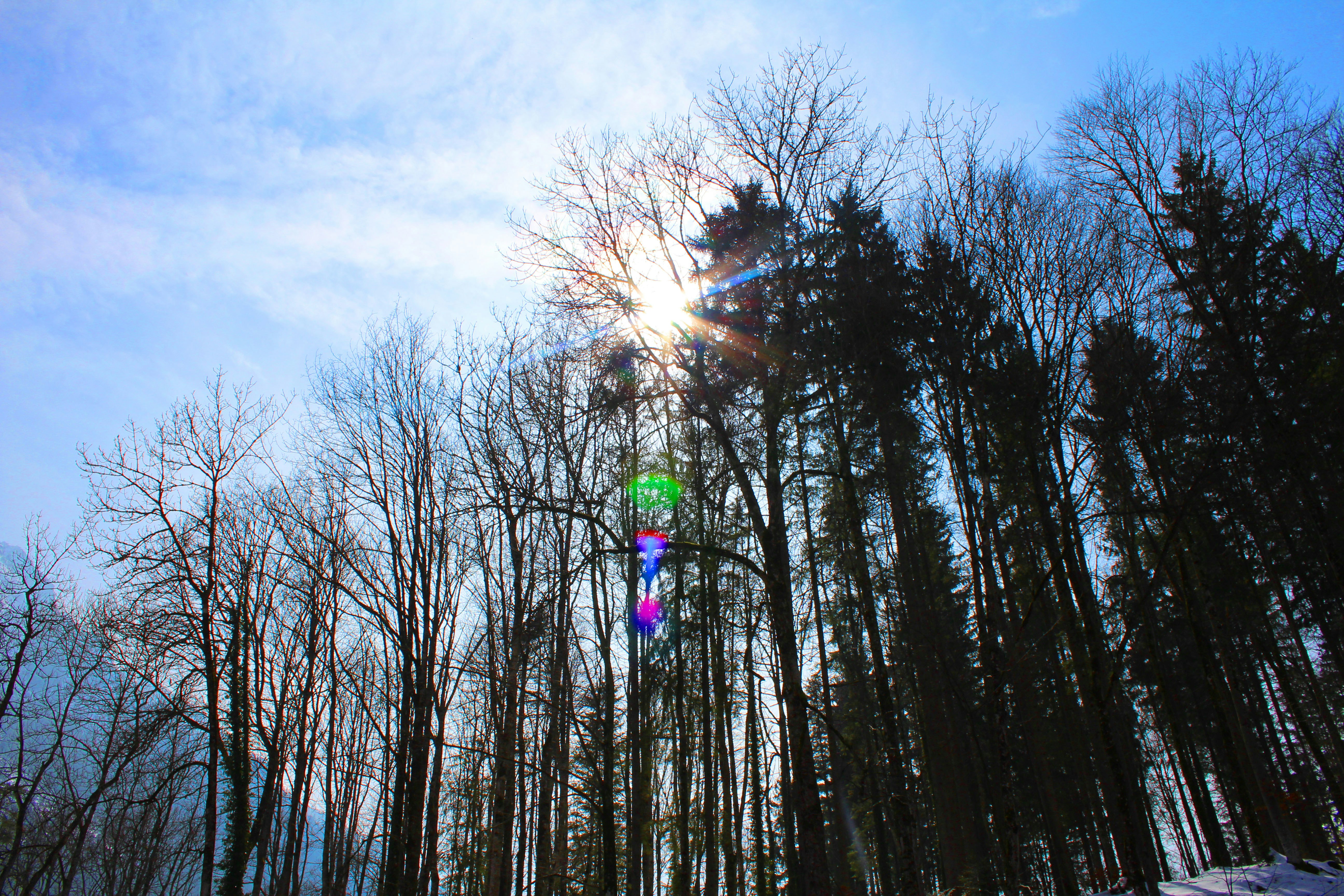 Free Unsplash photo from Saskia Schneider