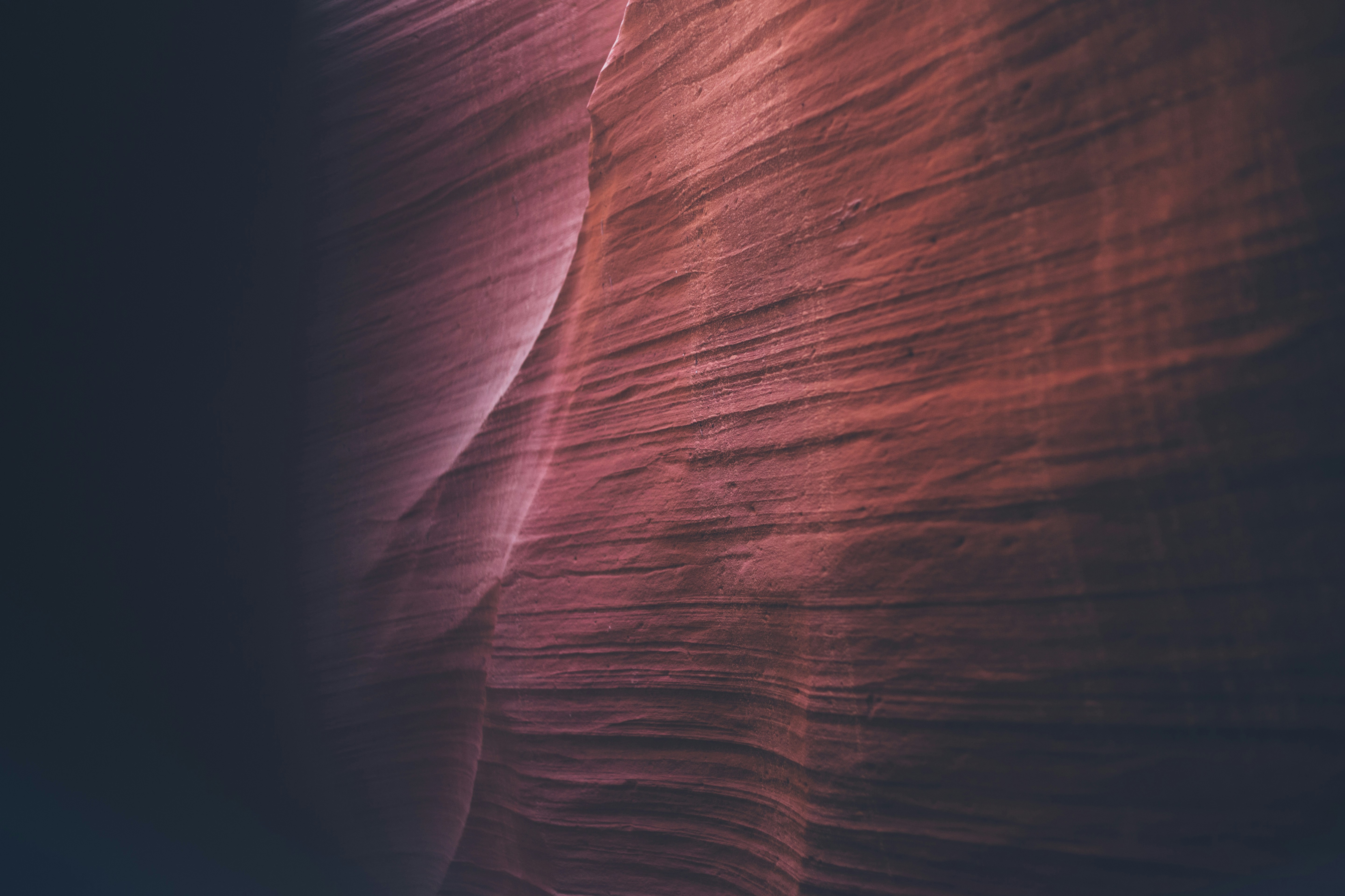 Free Unsplash photo from Greg Shield