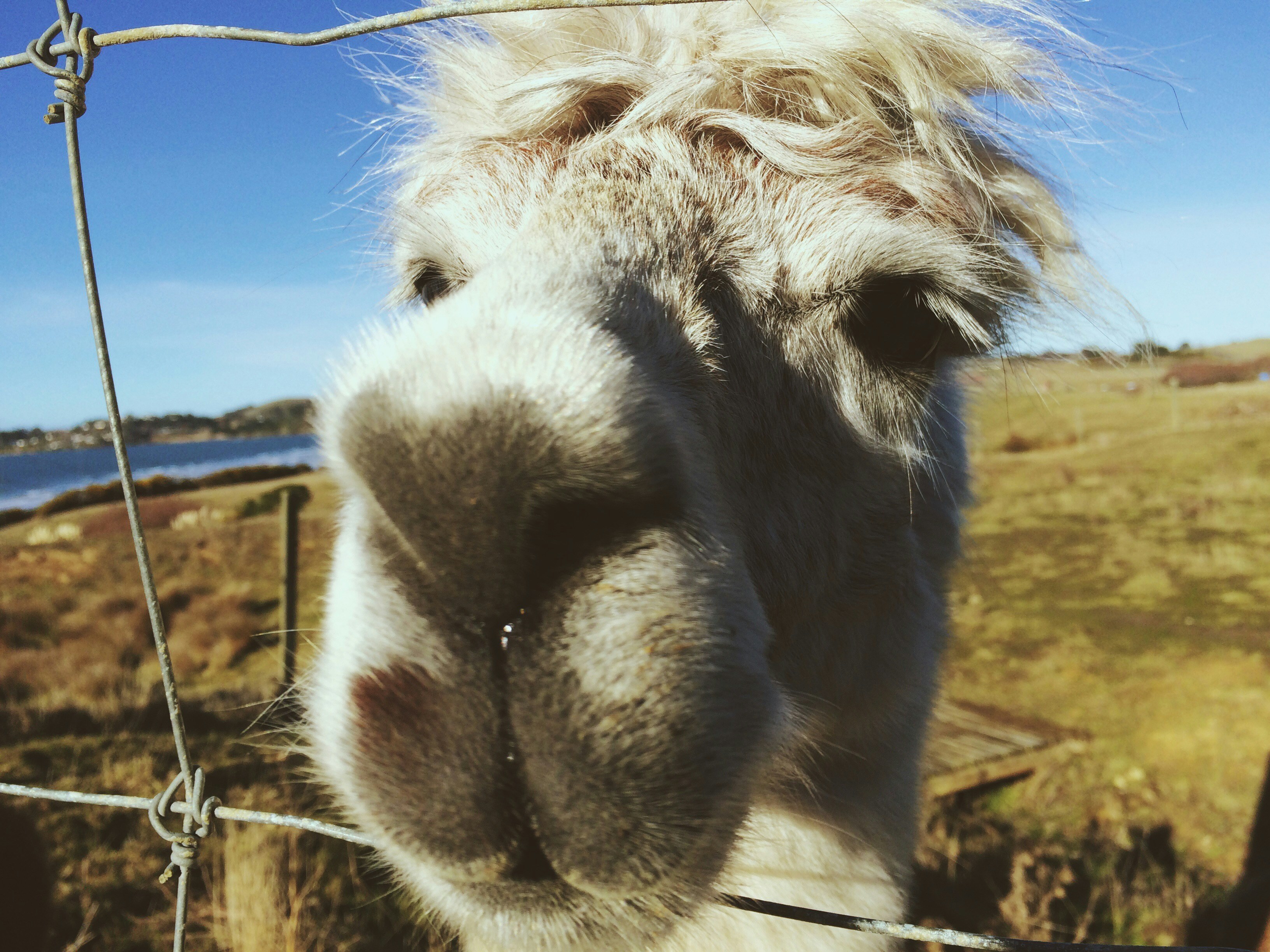 Free Unsplash photo from Olivia Mooney