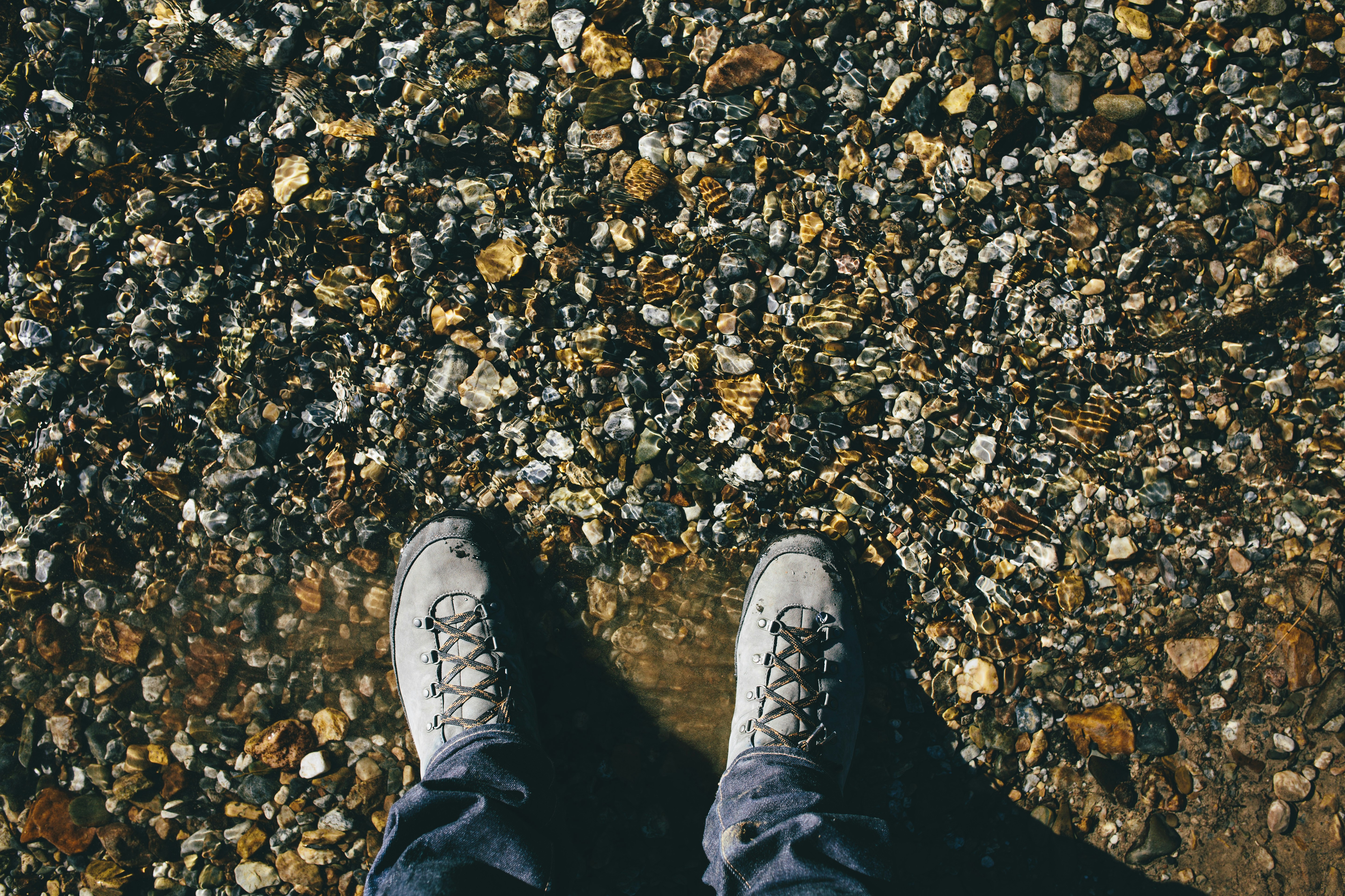 Free Unsplash photo from Greg Shield