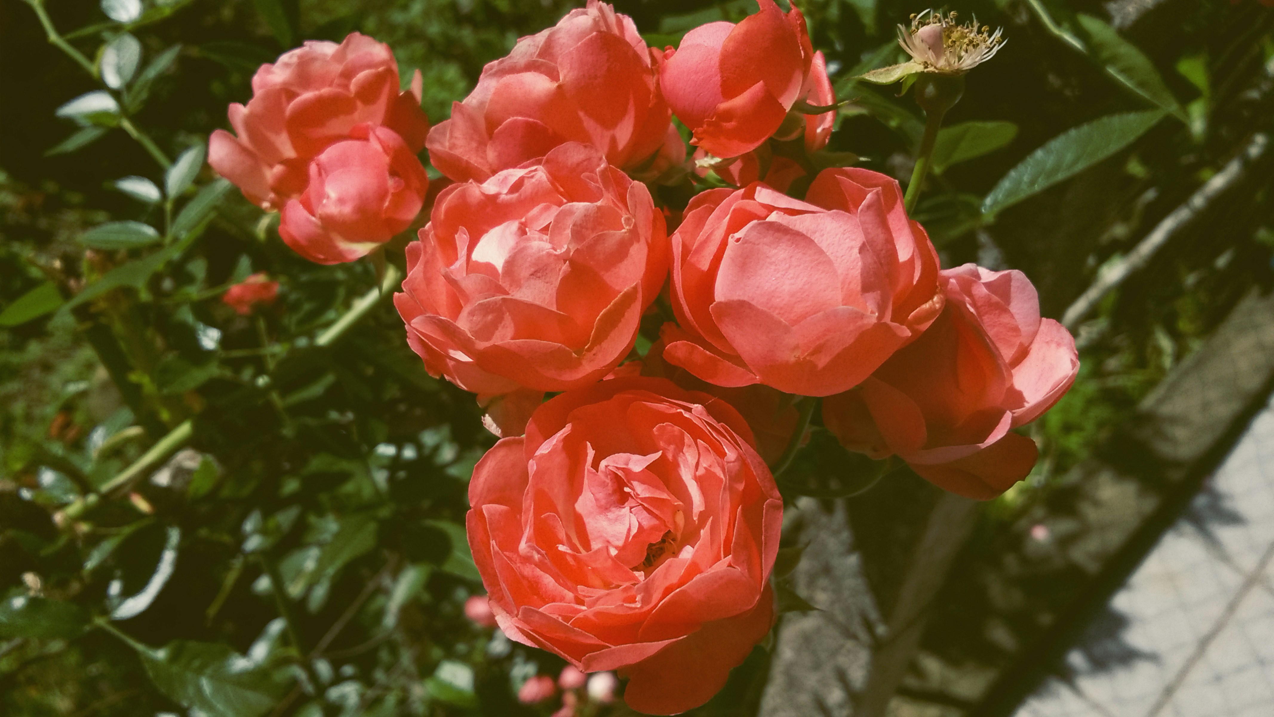 Free Unsplash photo from Guilherme Finatto Sganzerla