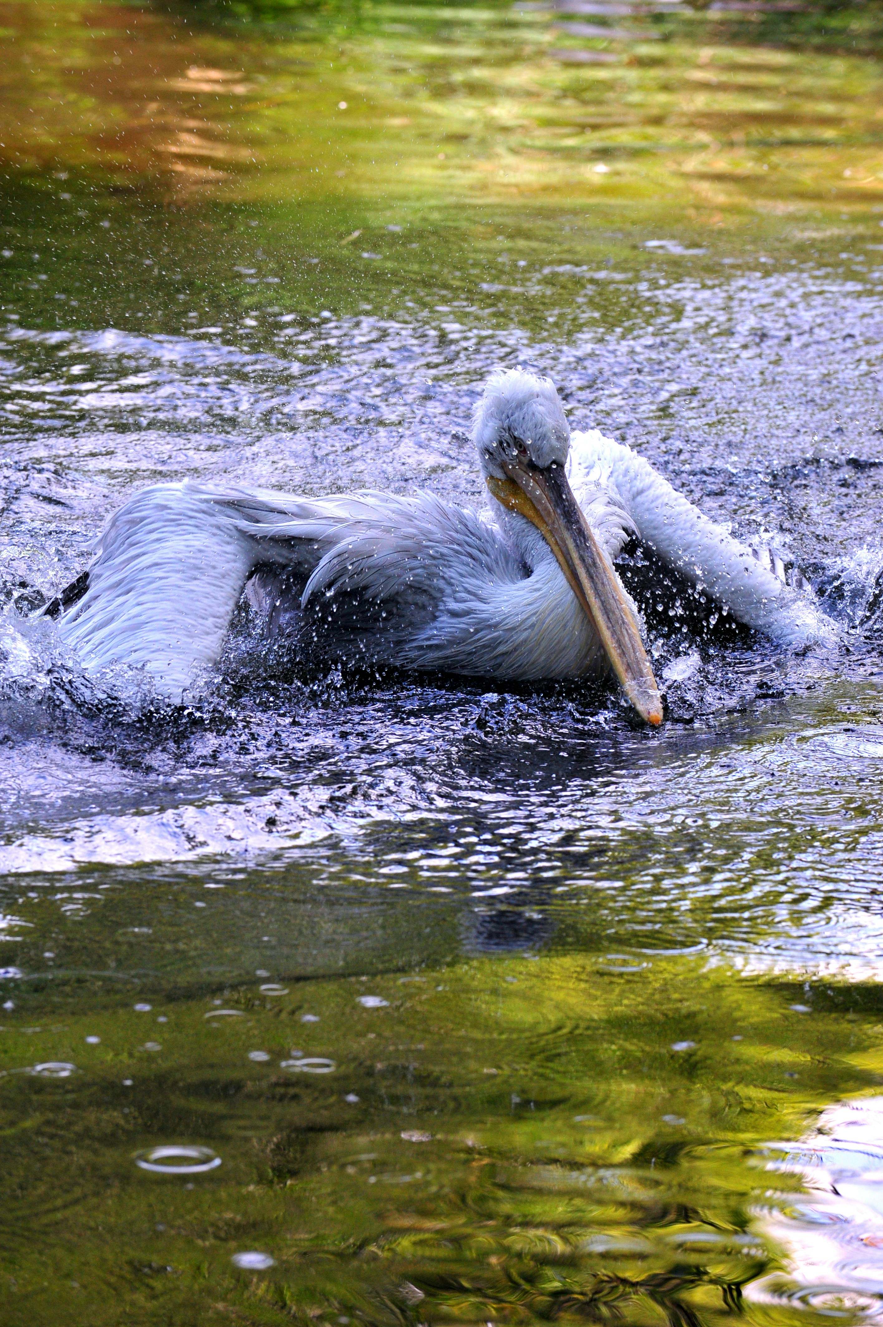 Free Unsplash photo from 佑翔 賴