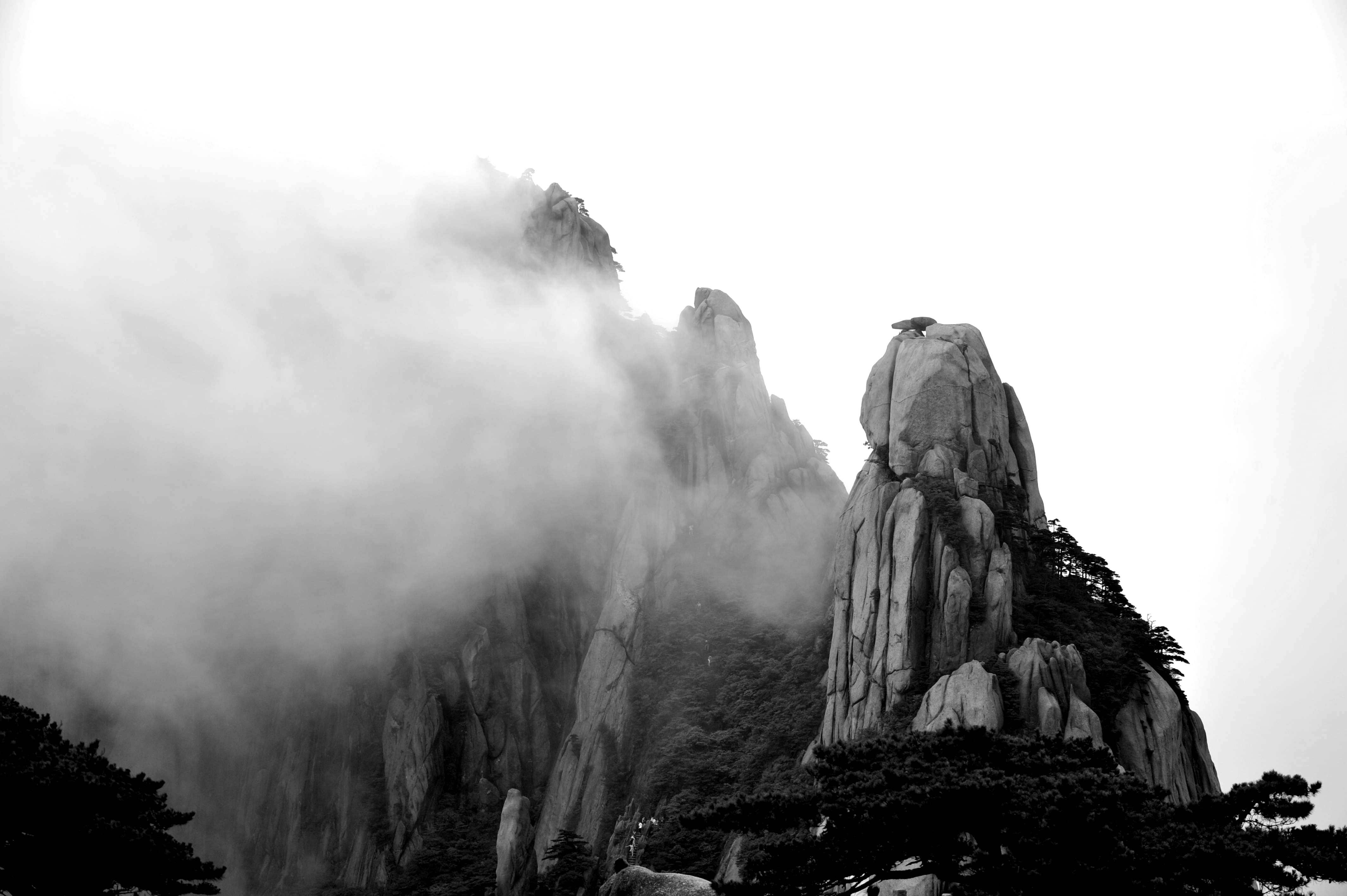 Free Unsplash photo from 佑翔 賴