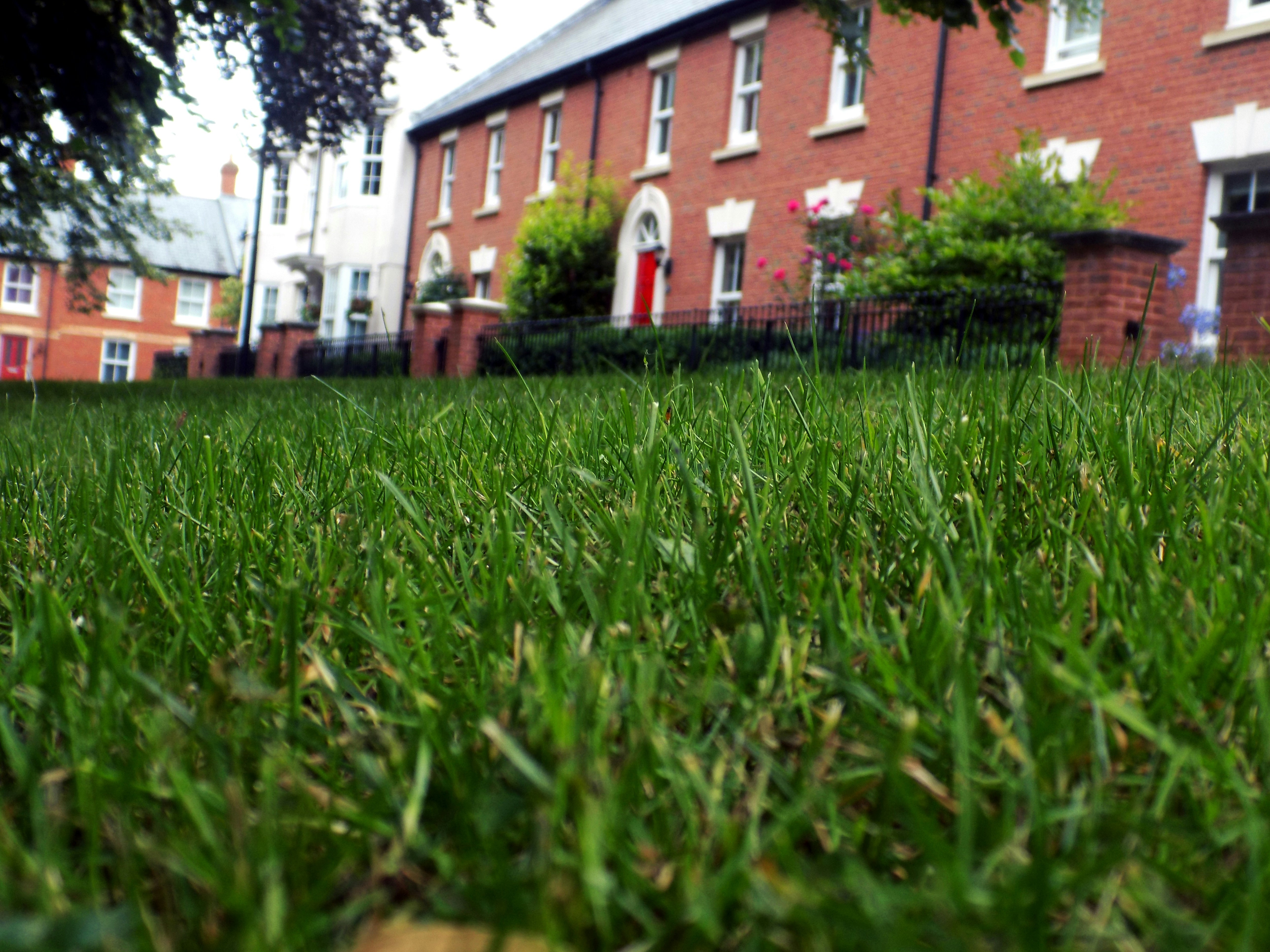 Free Unsplash photo from Italo Ronga