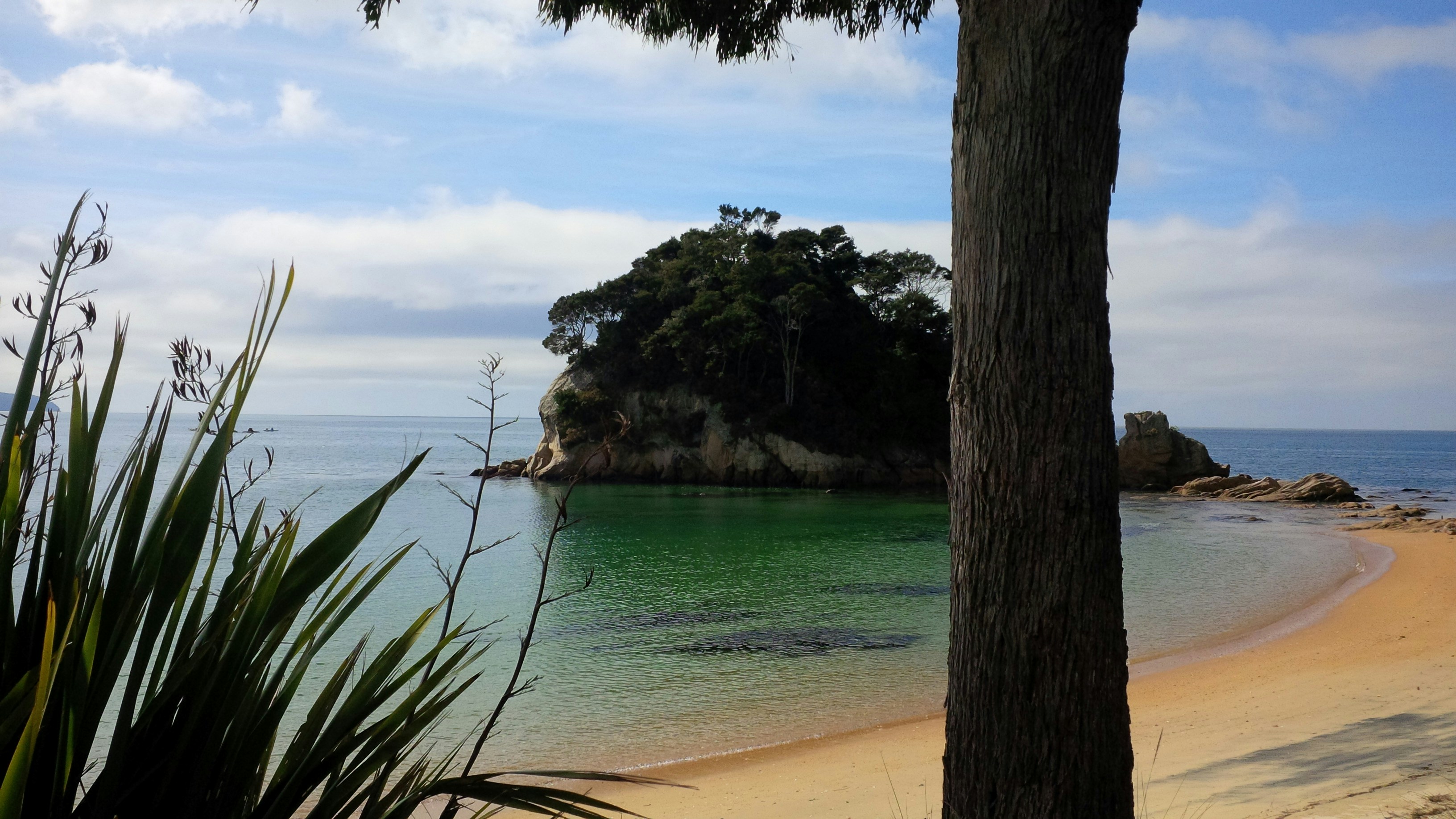 Free Unsplash photo from Clayton Holmes