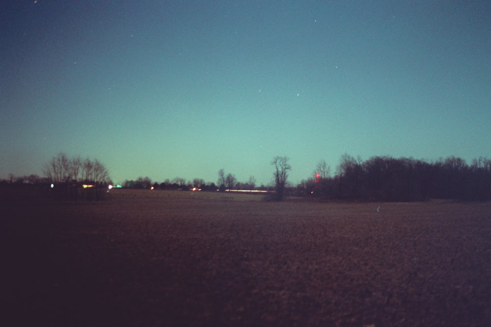 trees under green sky