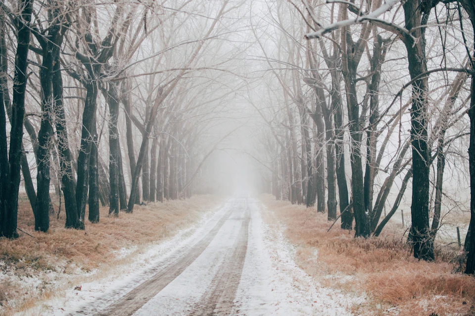 The image depicts a serene winter scene on a dirt road, surrounded by tall trees with bare branches reaching towards the sky. The road is blanketed in snow and appears to be deserted, creating an atmosphere of tranquility and solitude. The perspective of the photo is from ground level, looking down the length of the road, which adds depth and dimension to the scene.