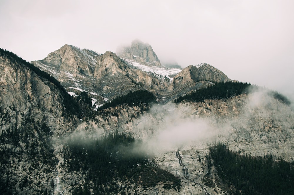 Montagna grigia