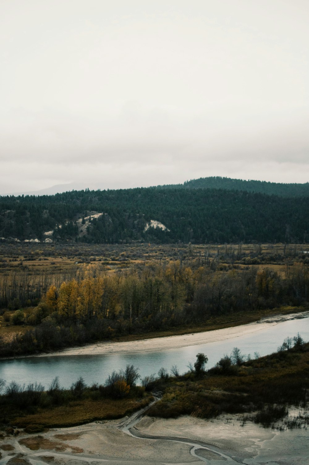 bird's-eye photography of river