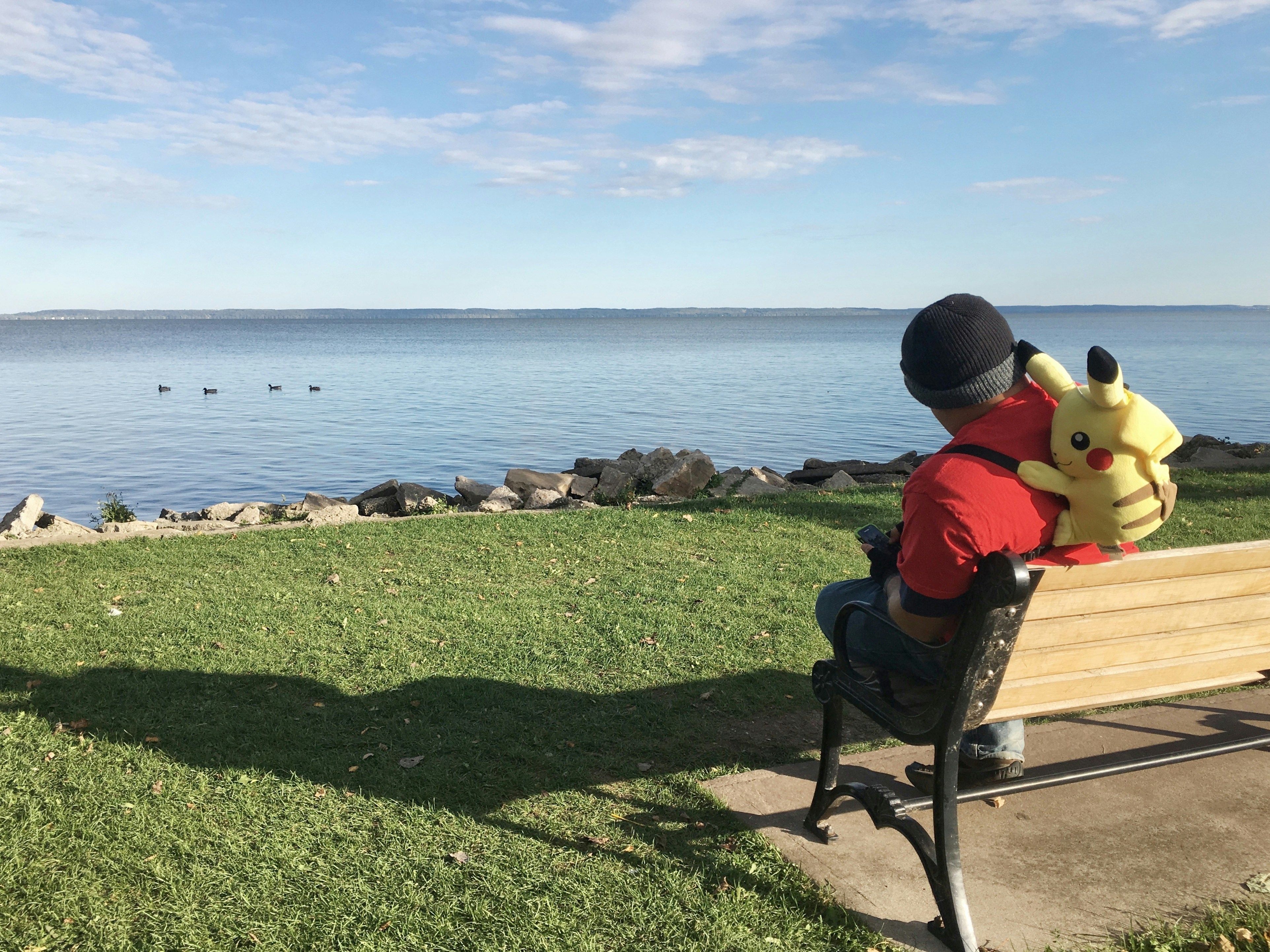 Free Unsplash photo from Andrew Stutesman