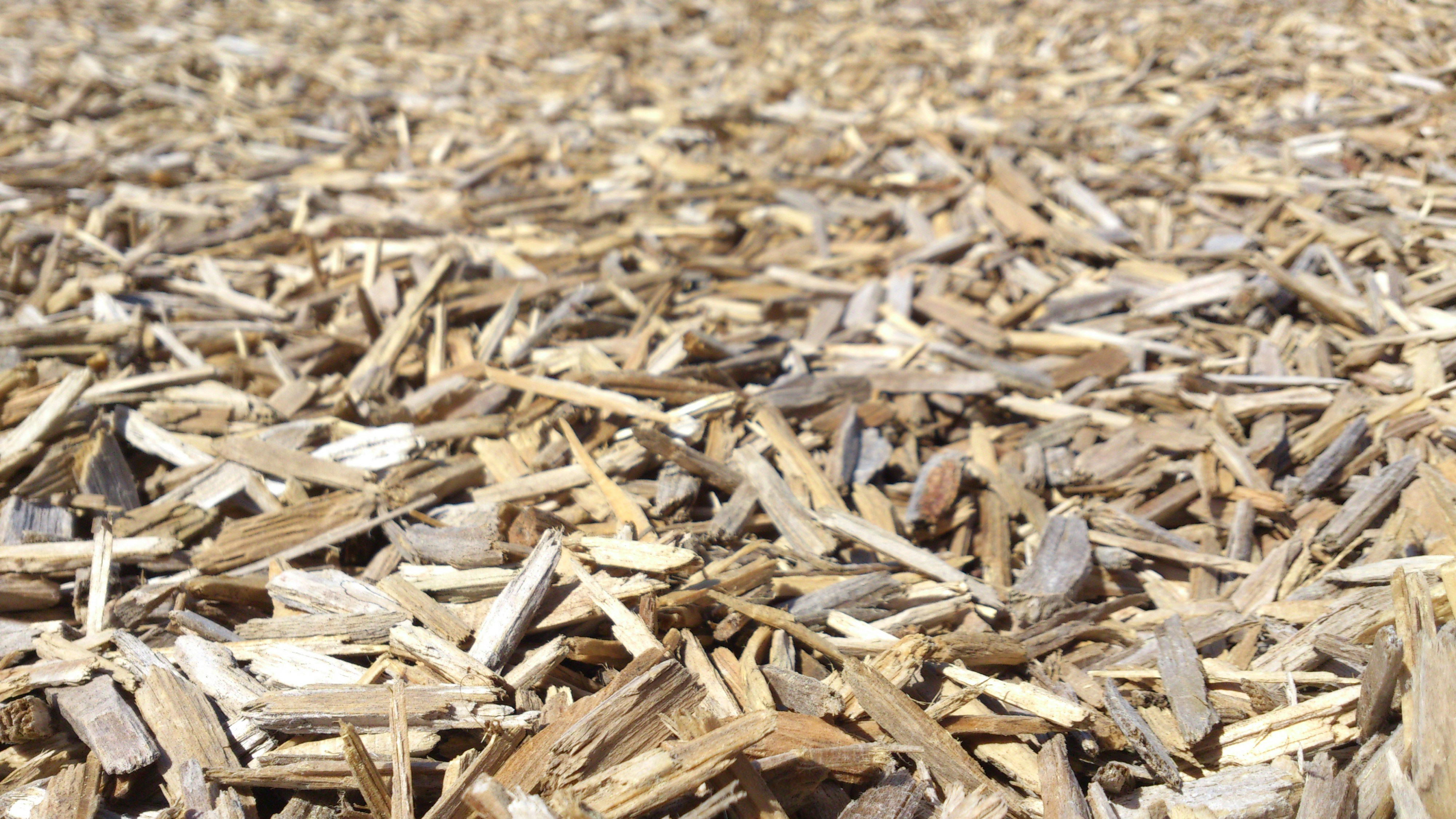 Free Unsplash photo from toinane