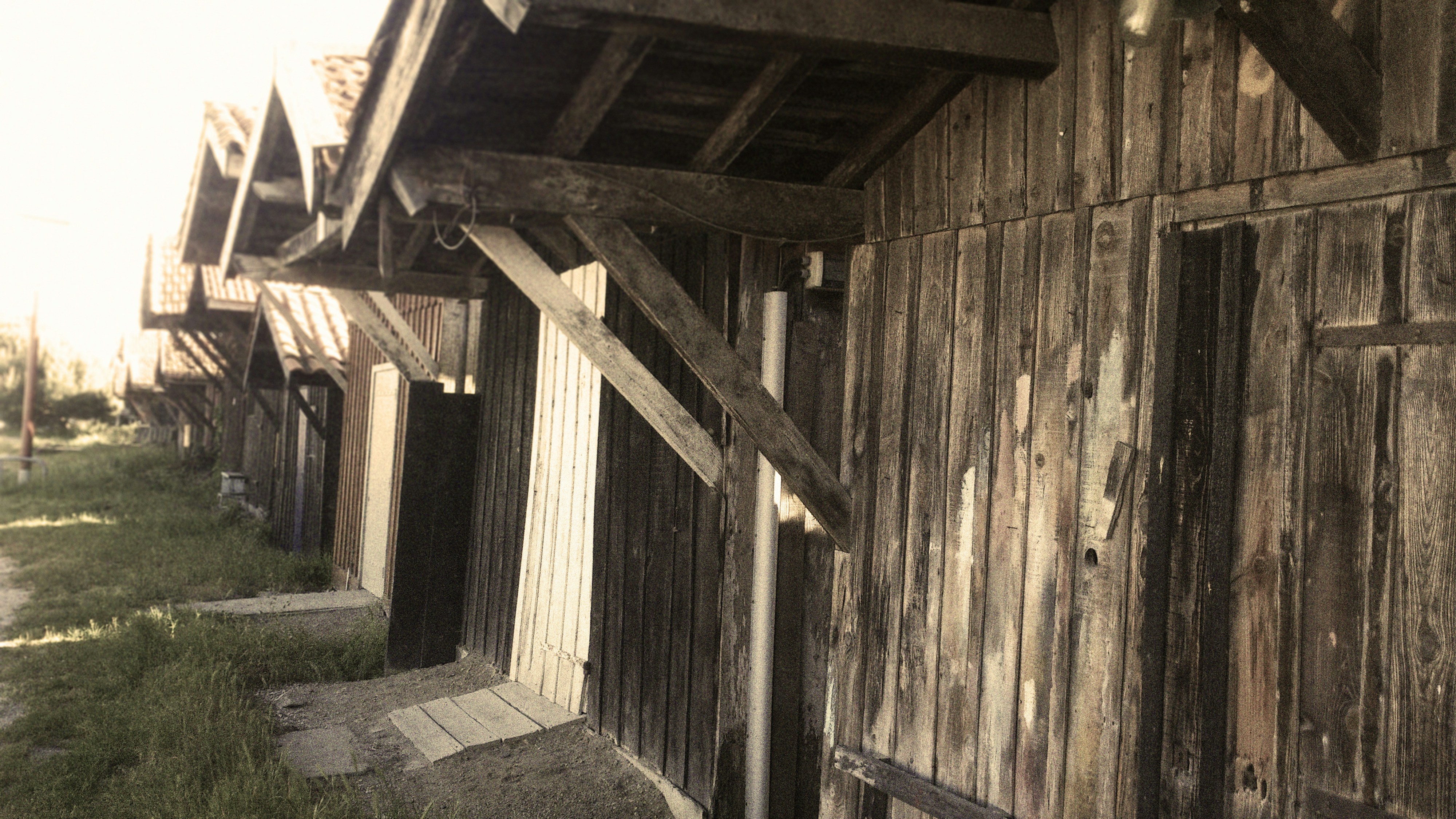 Free Unsplash photo from toinane