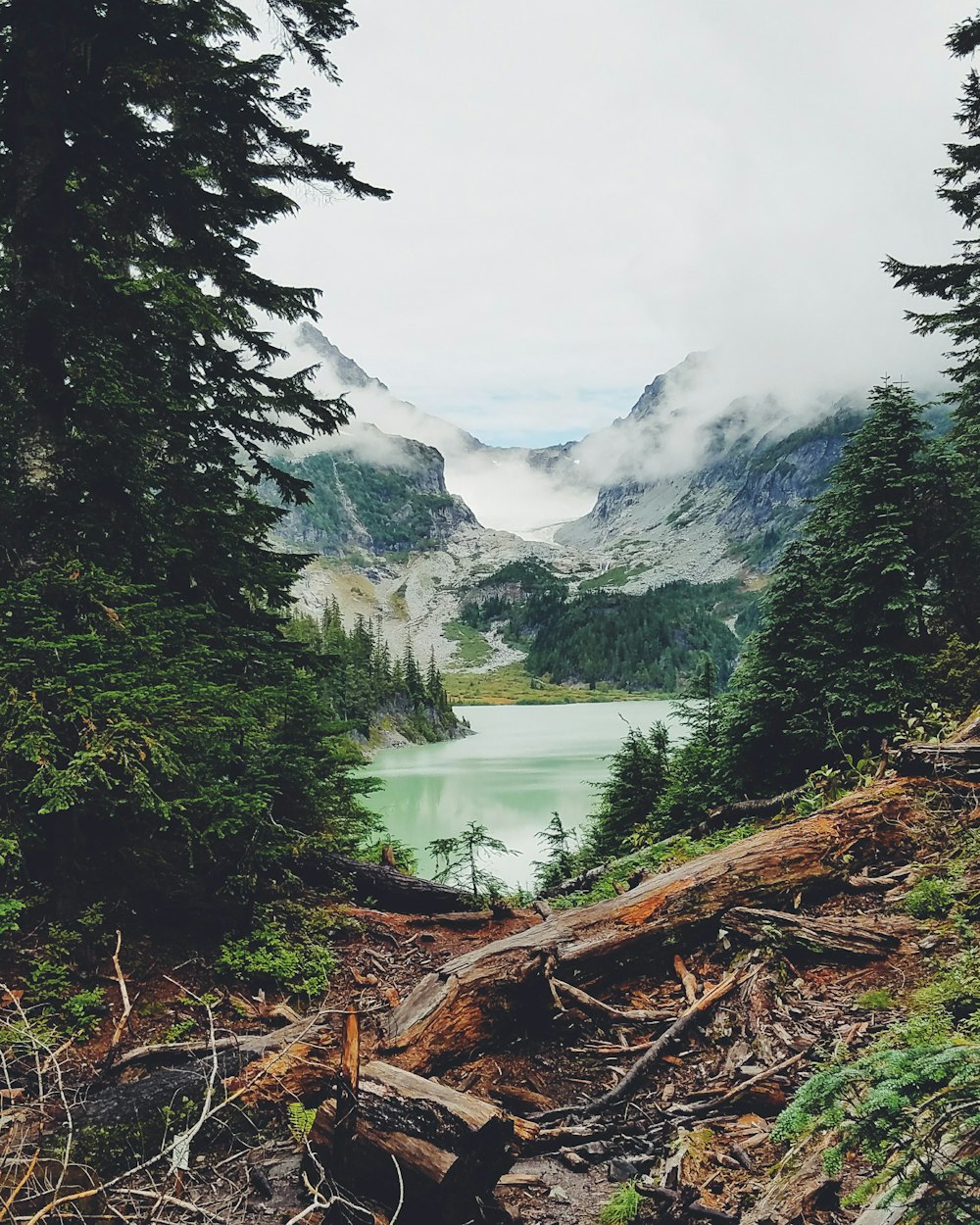 Paisaje acuático del lago