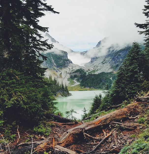 lake water scenery