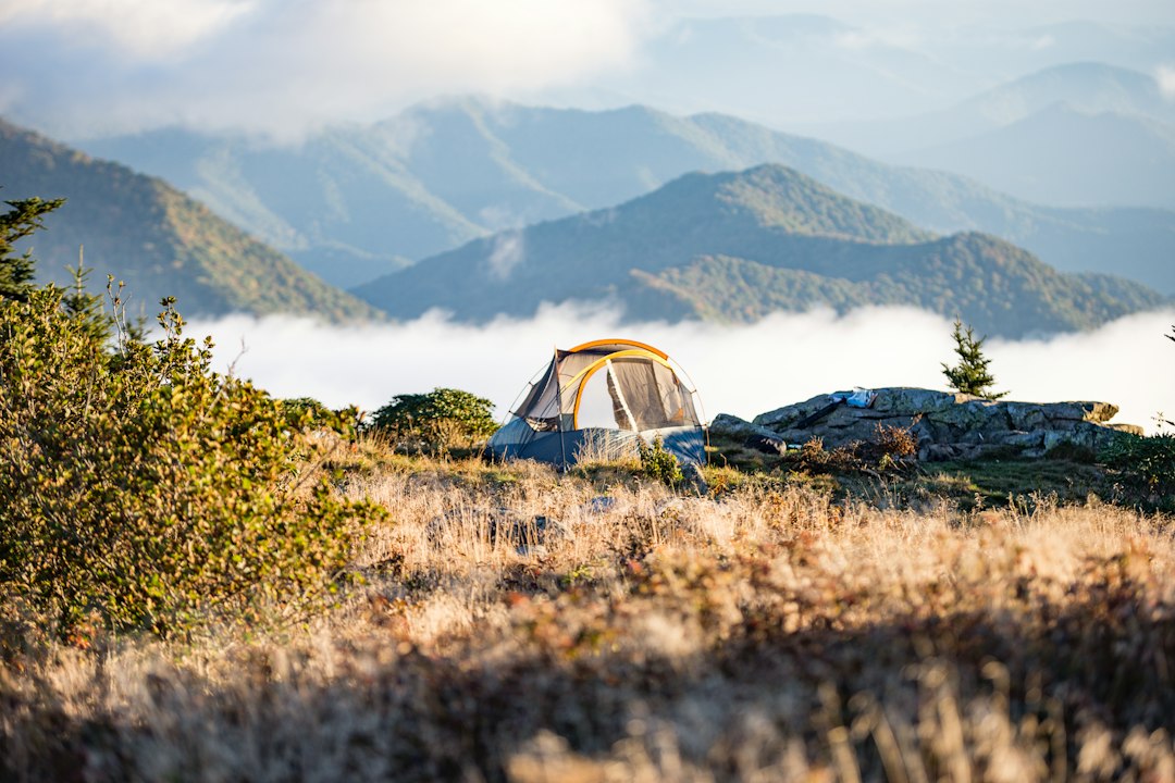 dome tent pitched