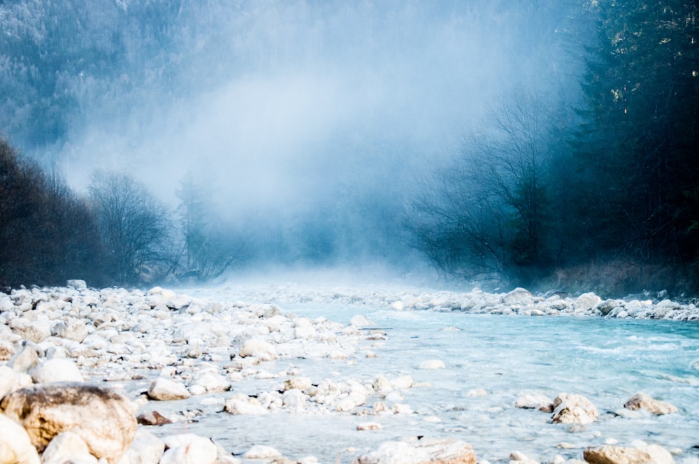 rock formation with body of water near trees covering of fogs at daytime