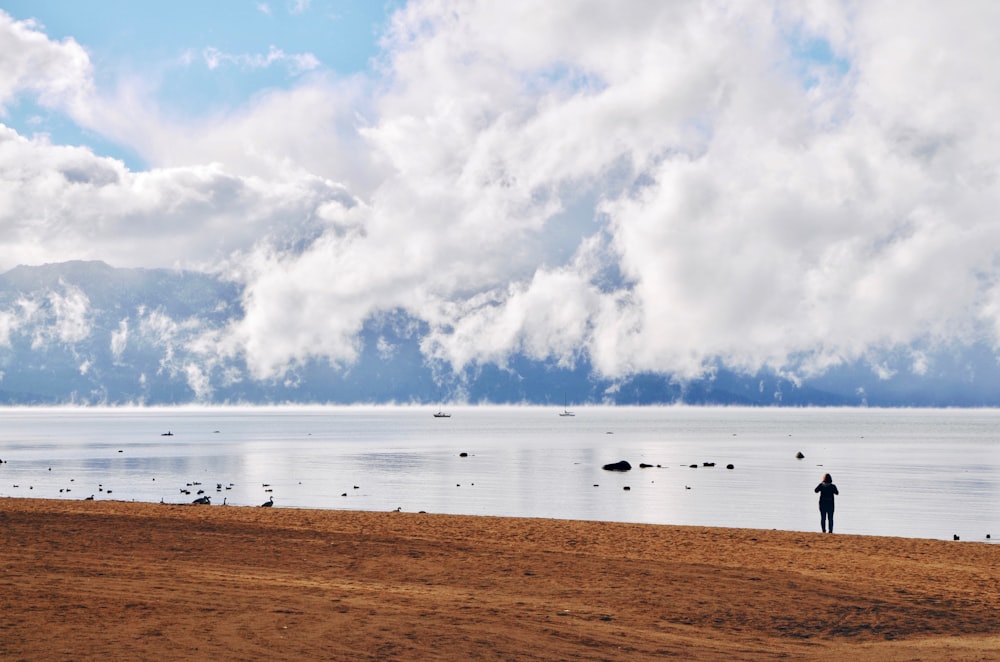 silhouette photo of a person facing body of water