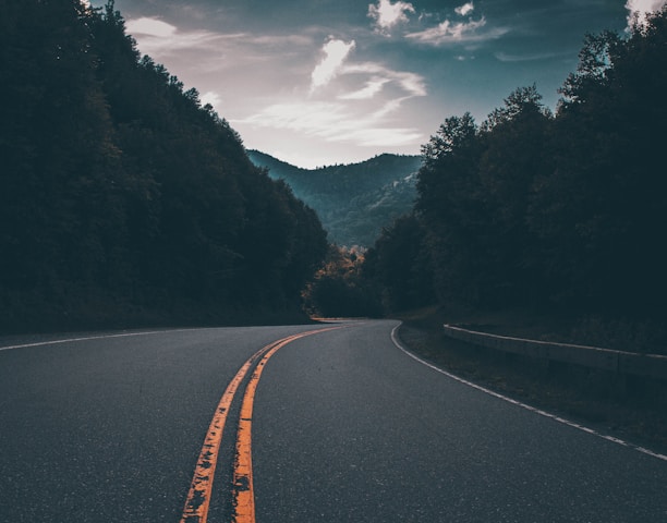 gray concrete road between trees