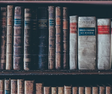 assorted books in brown wooden bookshelf