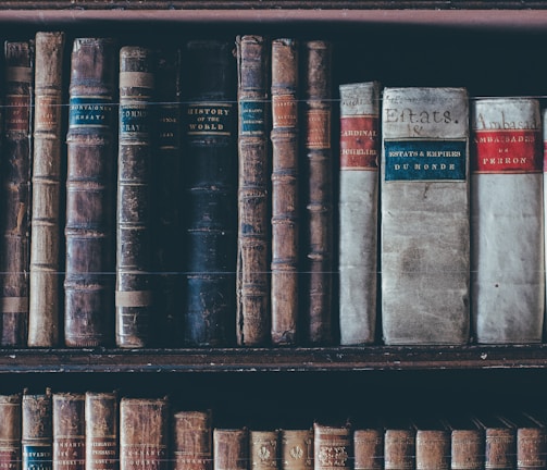 assorted books in brown wooden bookshelf