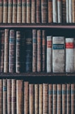 assorted books in brown wooden bookshelf