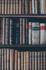 assorted books in brown wooden bookshelf